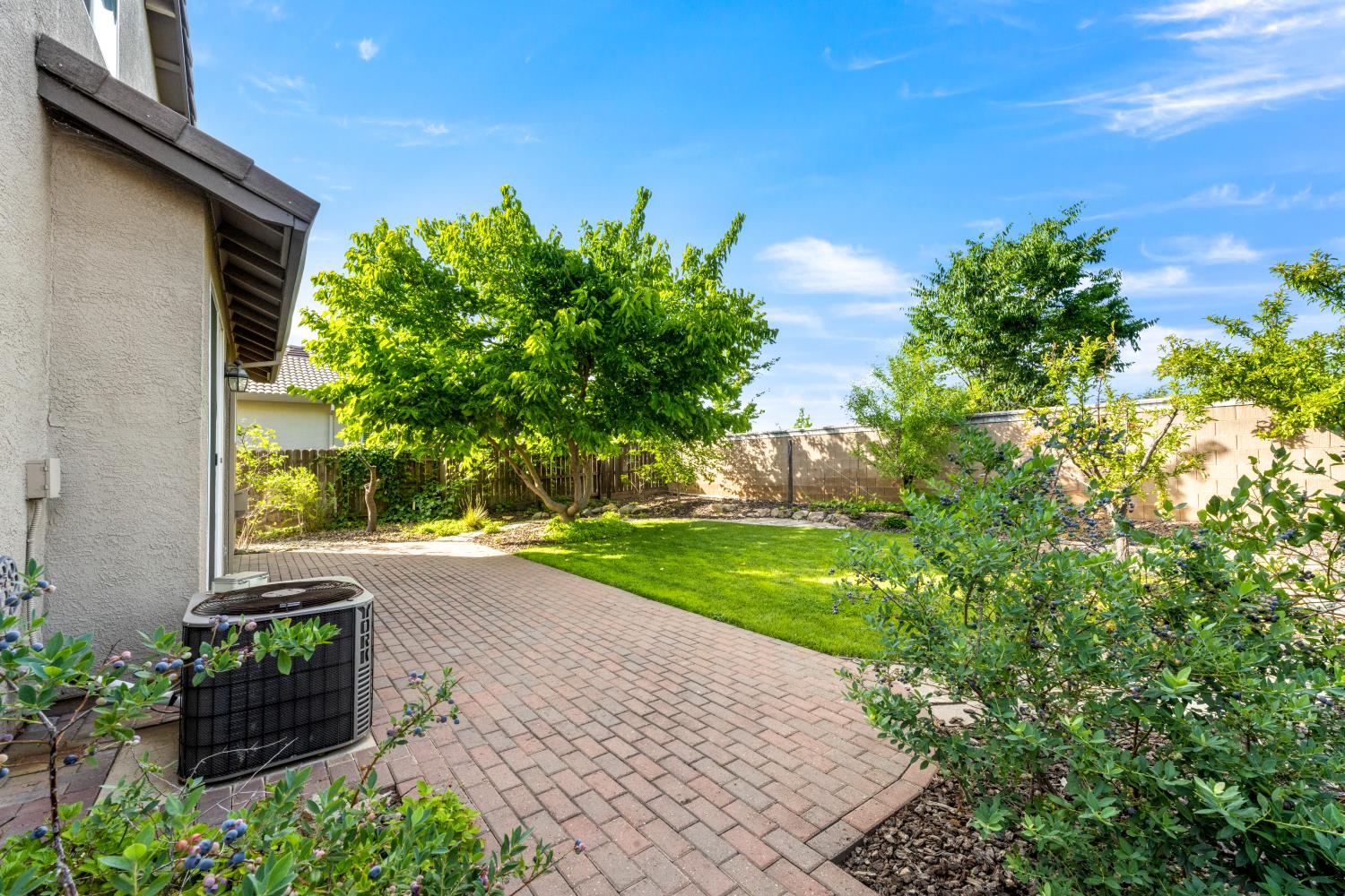 3509 Riojo Way Rancho Cordova, CA 95670 - Photo 37 of 41