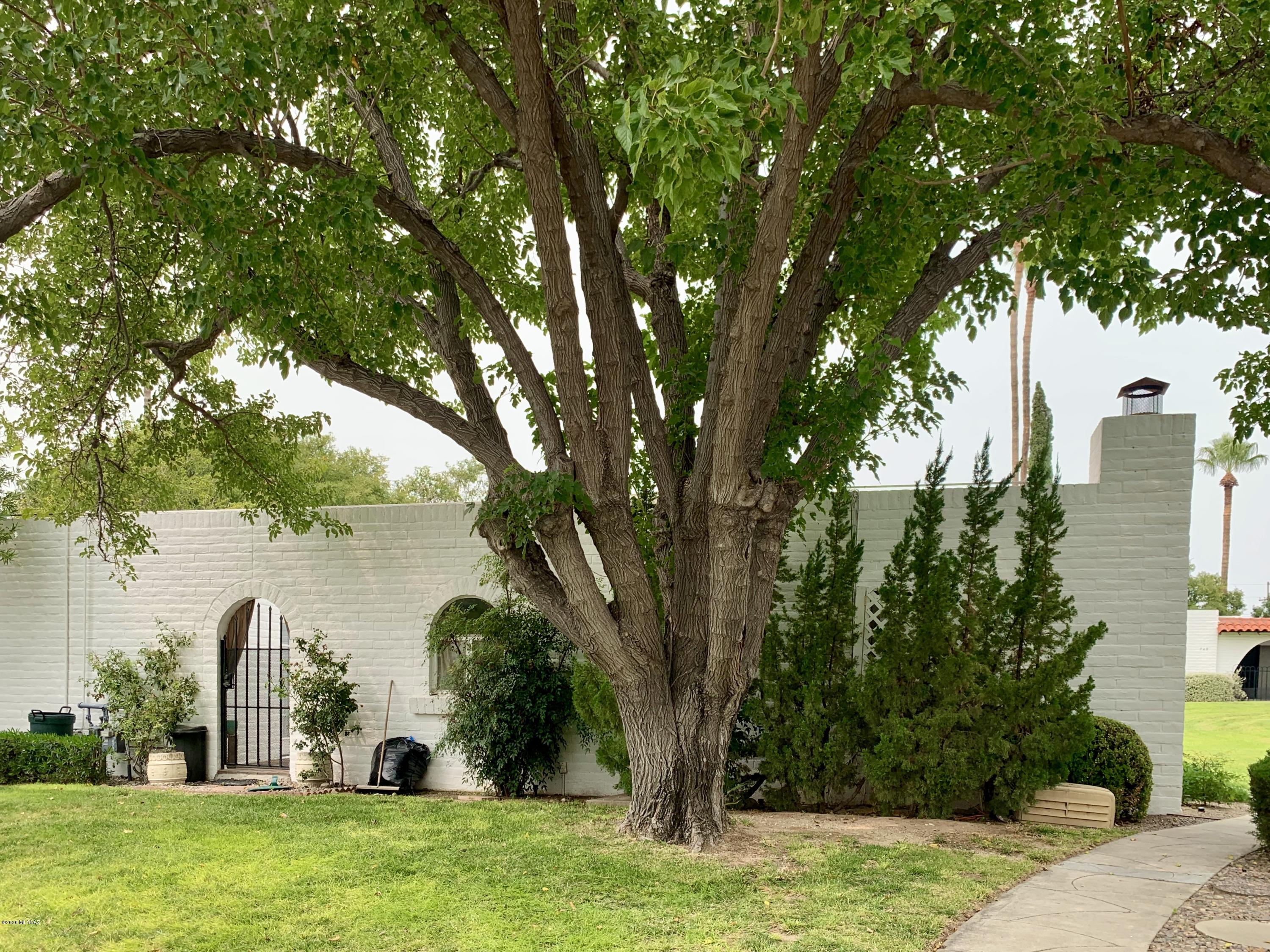 726 West Roller Coaster Road Tucson, AZ 85704 - Photo 40 of 42 Gallery Image 40
