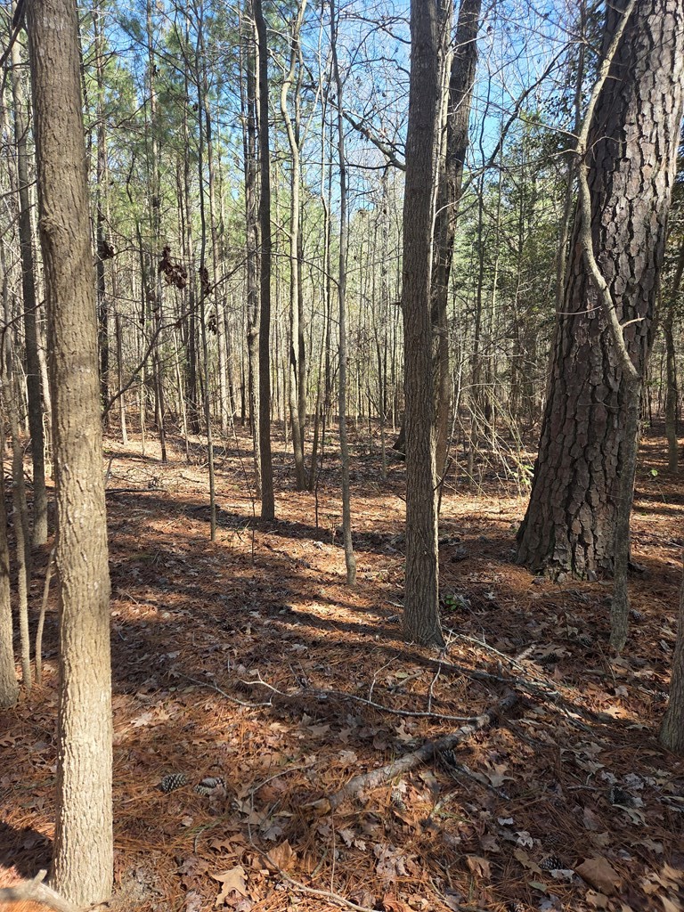 0 Holly Cove Road, Unit 13 Onancock, VA 23417 - Photo 2 of 5