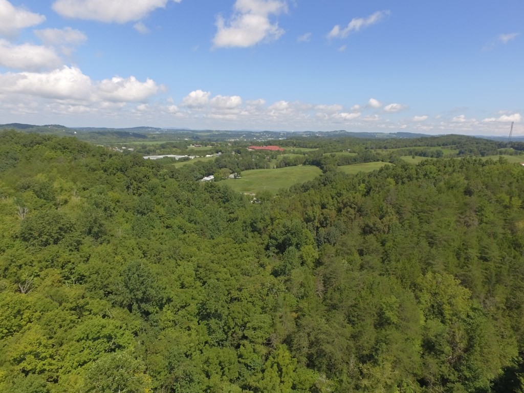 1549 Douglas Dam Road Sevierville, TN 37876 - Photo 14 of 30
