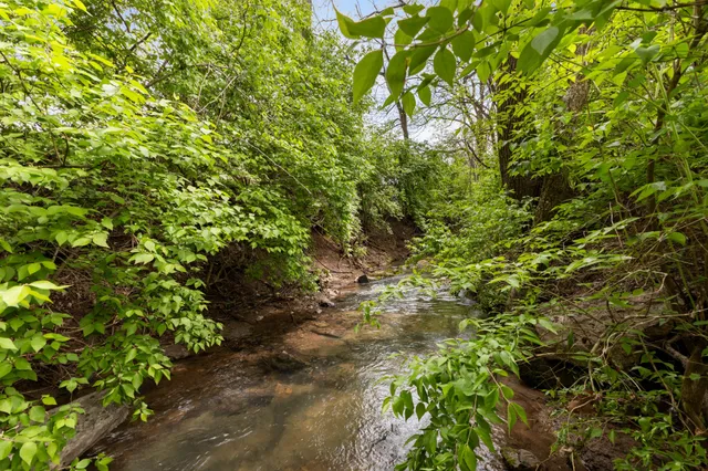 a backyard of a house with lots of plants