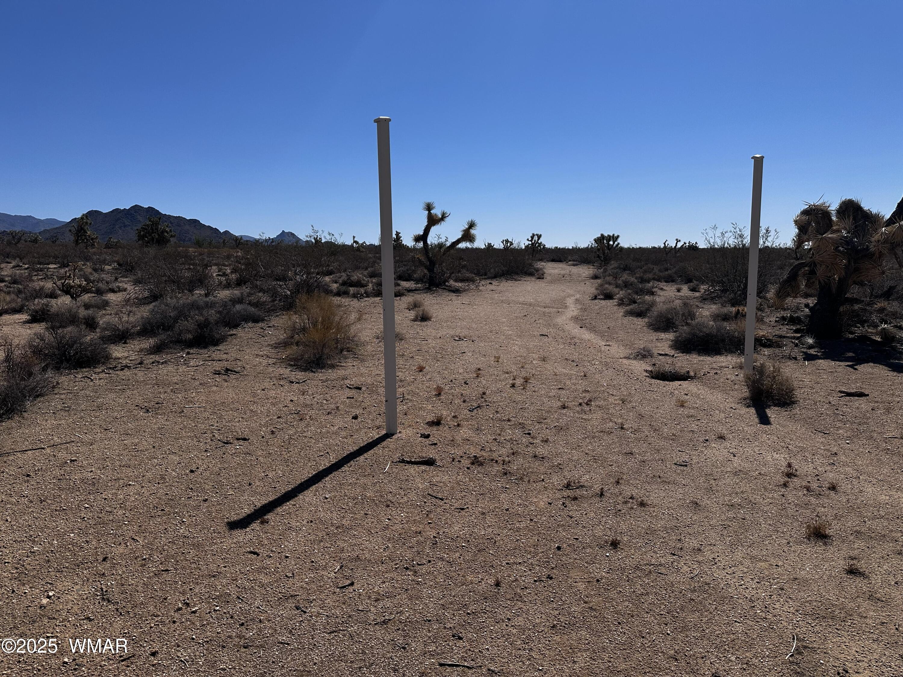 17404 South Jesse James Road Yucca, AZ 86438 - Photo 17 of 20 242-14-017