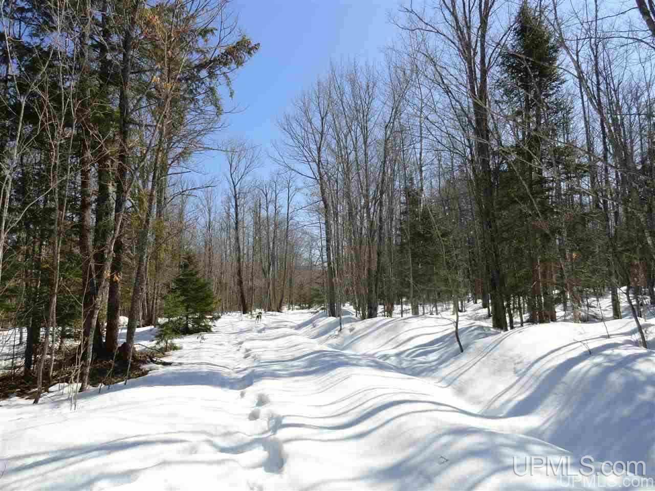 240-acres Leek Road Covington, MI 49919 - Photo 4 of 50