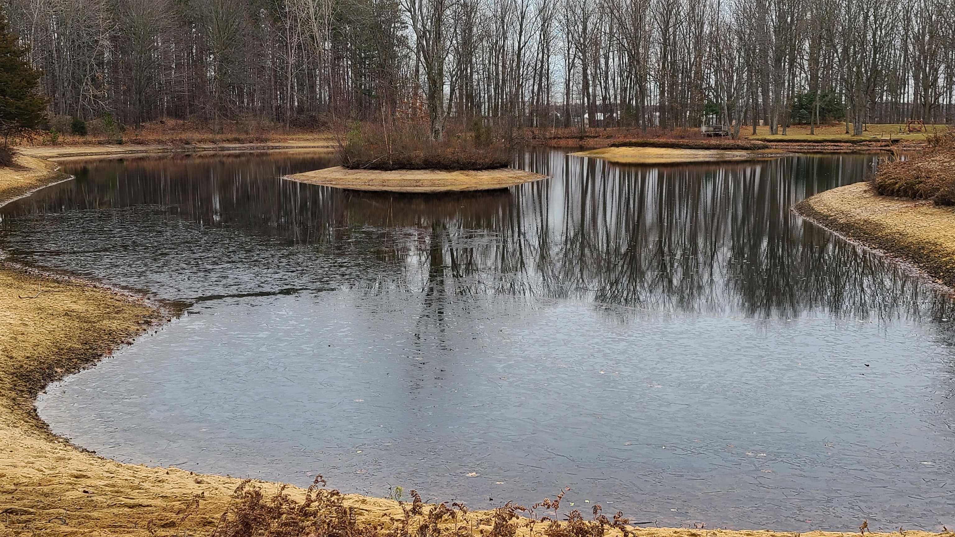 14520 Gary Road Chesaning, MI 48616 - Photo 12 of 36