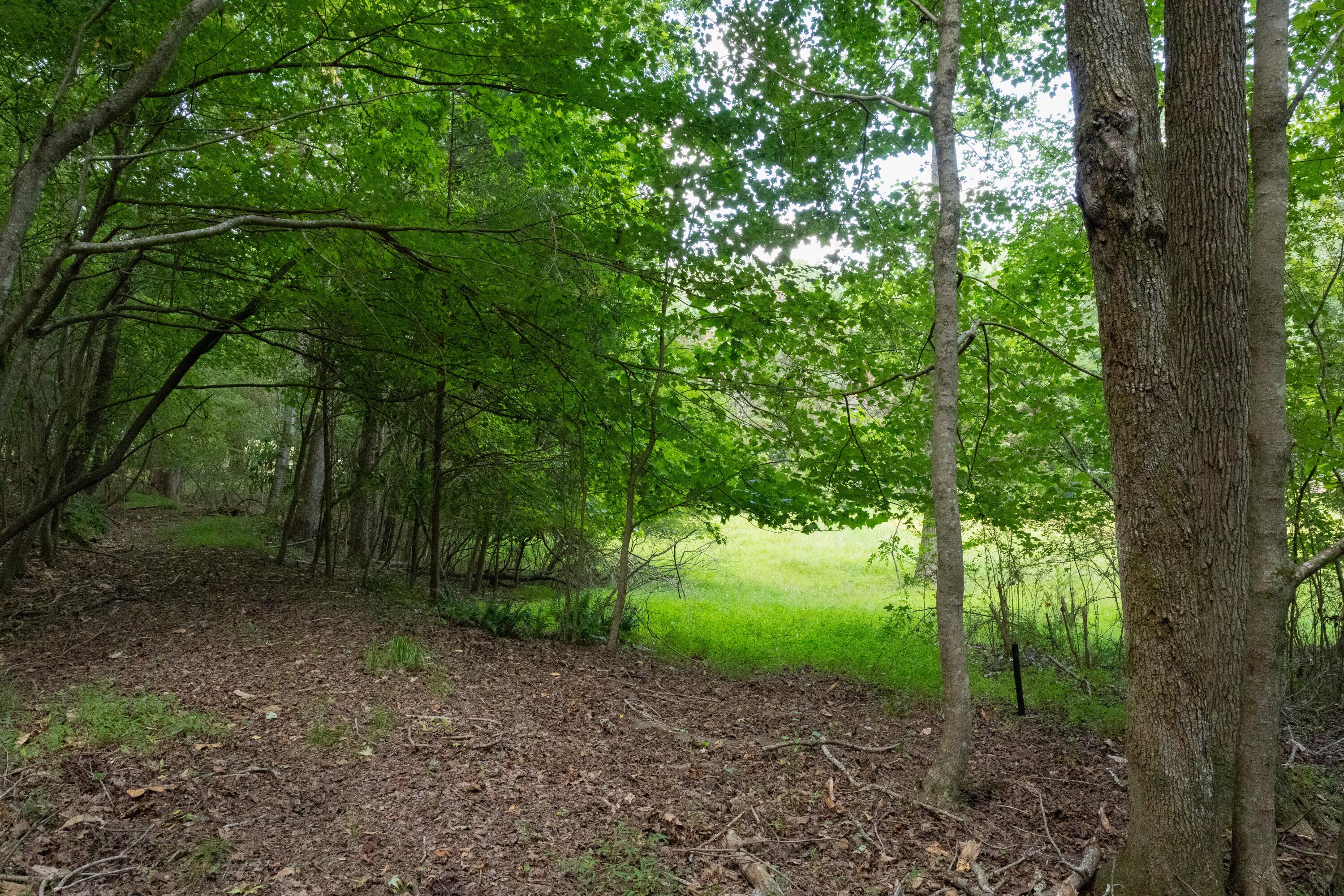 0 Standifer Gap Road Chattanooga, TN 37421 - Photo 11 of 26 CollegedaleProperty-013