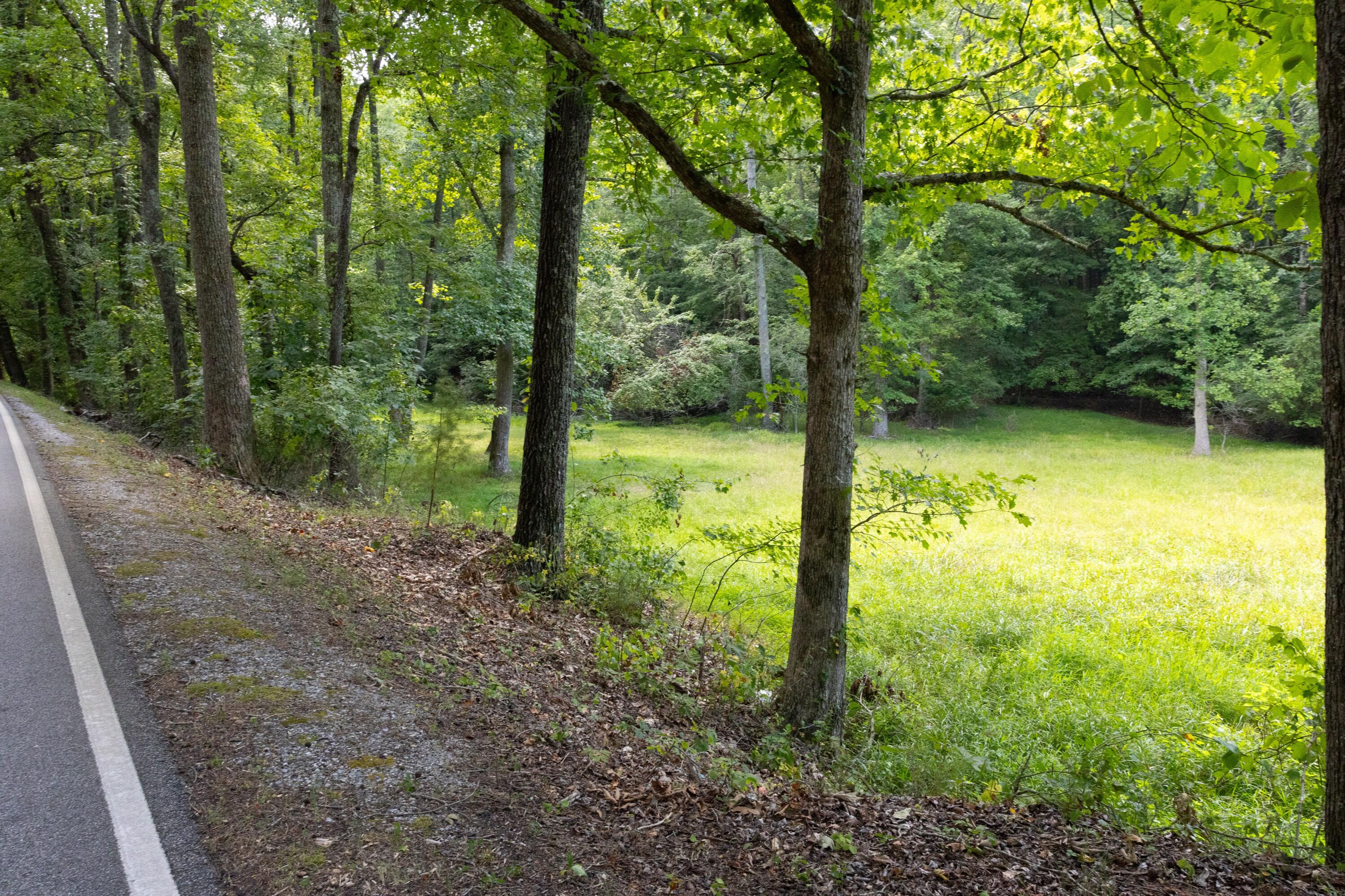 0 Standifer Gap Road Chattanooga, TN 37421 - Photo 14 of 26 CollegedaleProperty-016