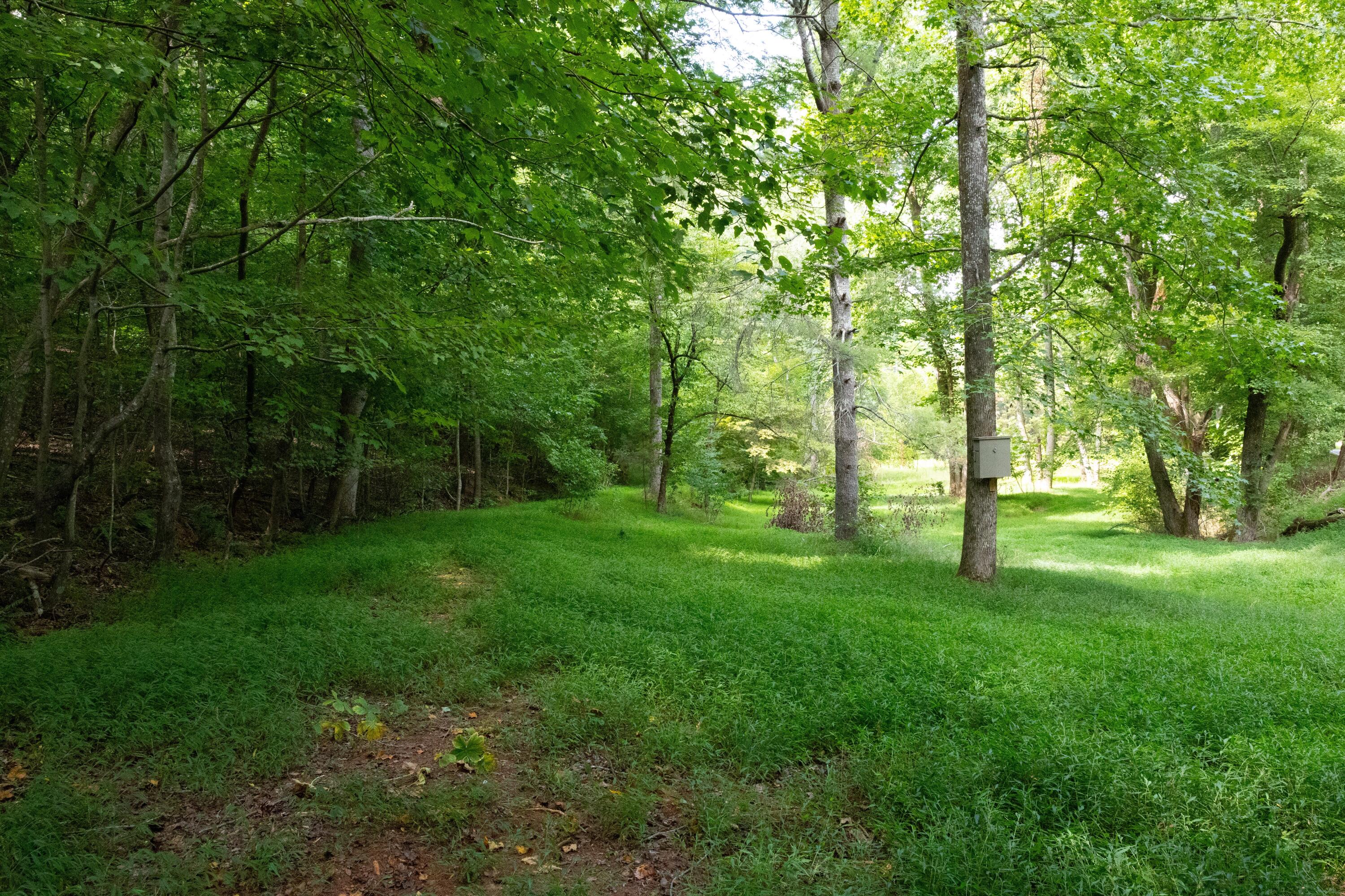 0 Standifer Gap Road Chattanooga, TN 37421 - Photo 2 of 26 CollegedaleProperty-001