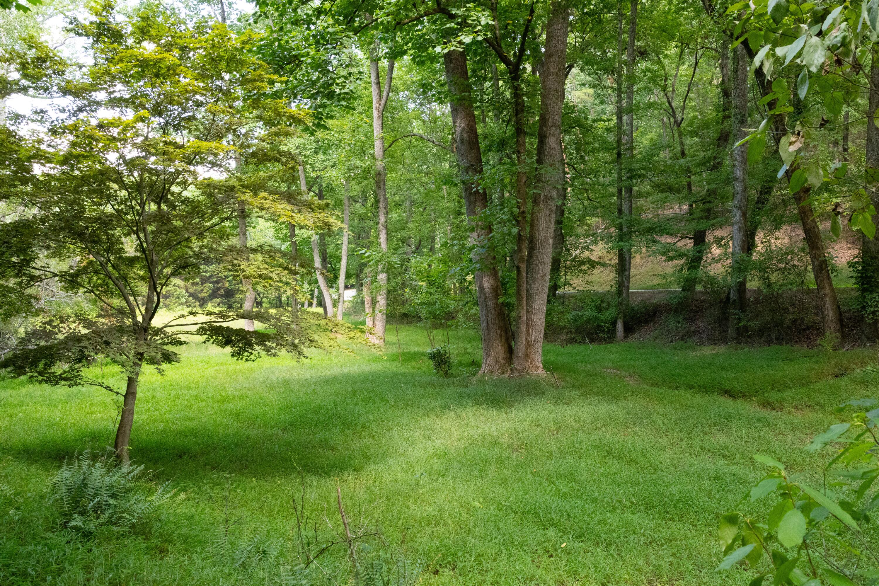 0 Standifer Gap Road Chattanooga, TN 37421 - Photo 4 of 26 CollegedaleProperty-004
