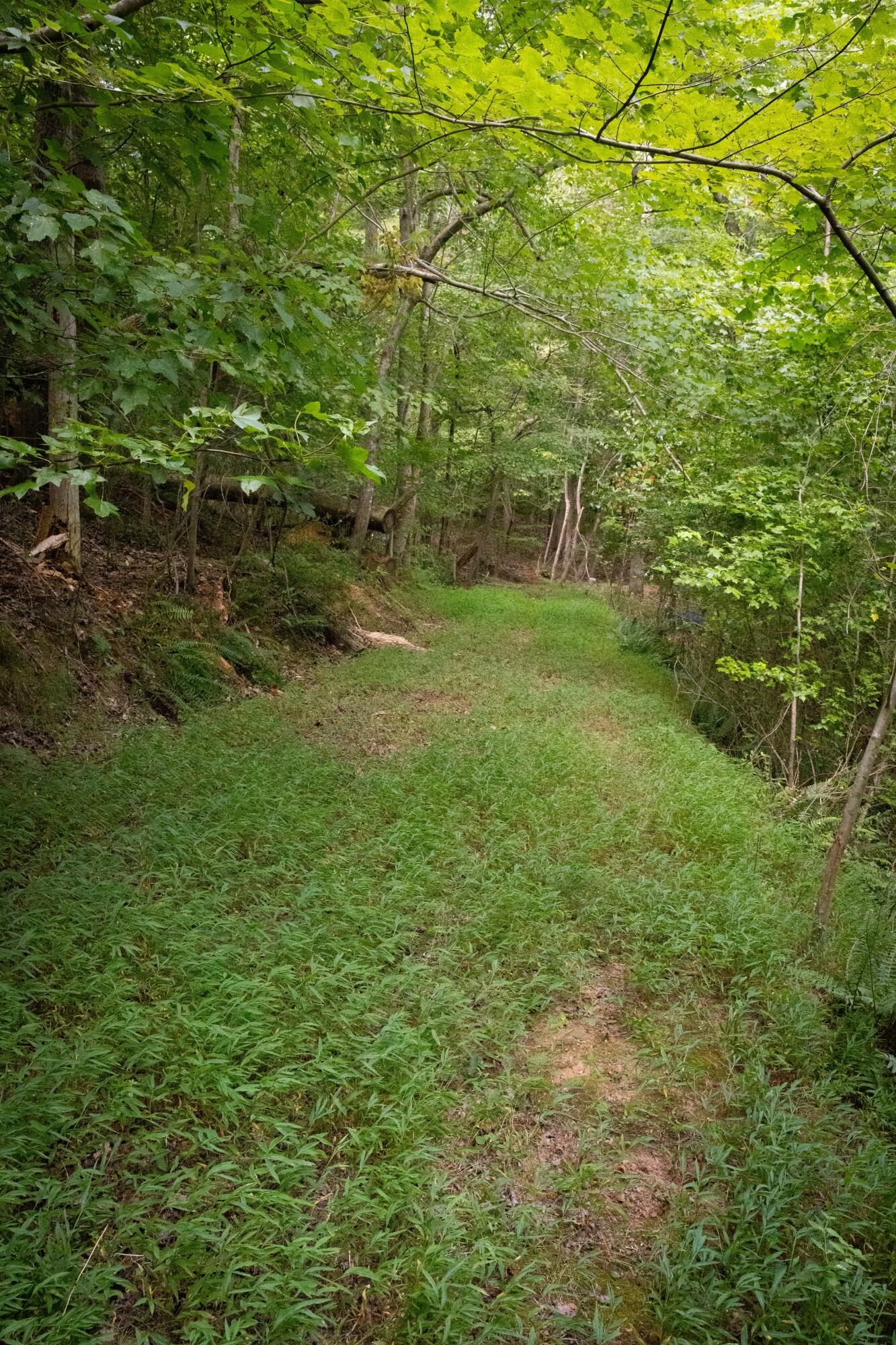 0 Standifer Gap Road Chattanooga, TN 37421 - Photo 5 of 26 CollegedaleProperty-006