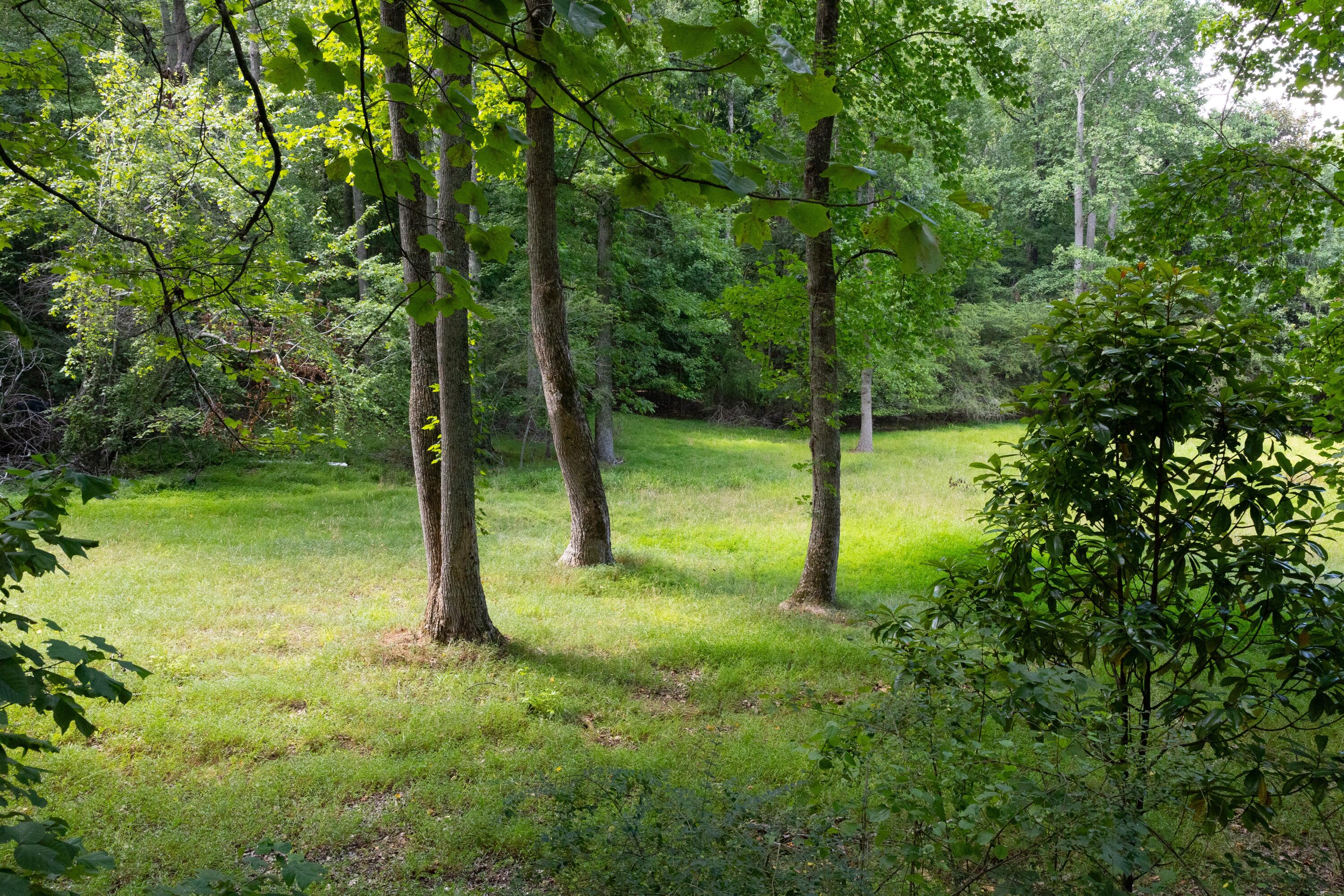 0 Standifer Gap Road Chattanooga, TN 37421 - Photo 6 of 26 CollegedaleProperty-007