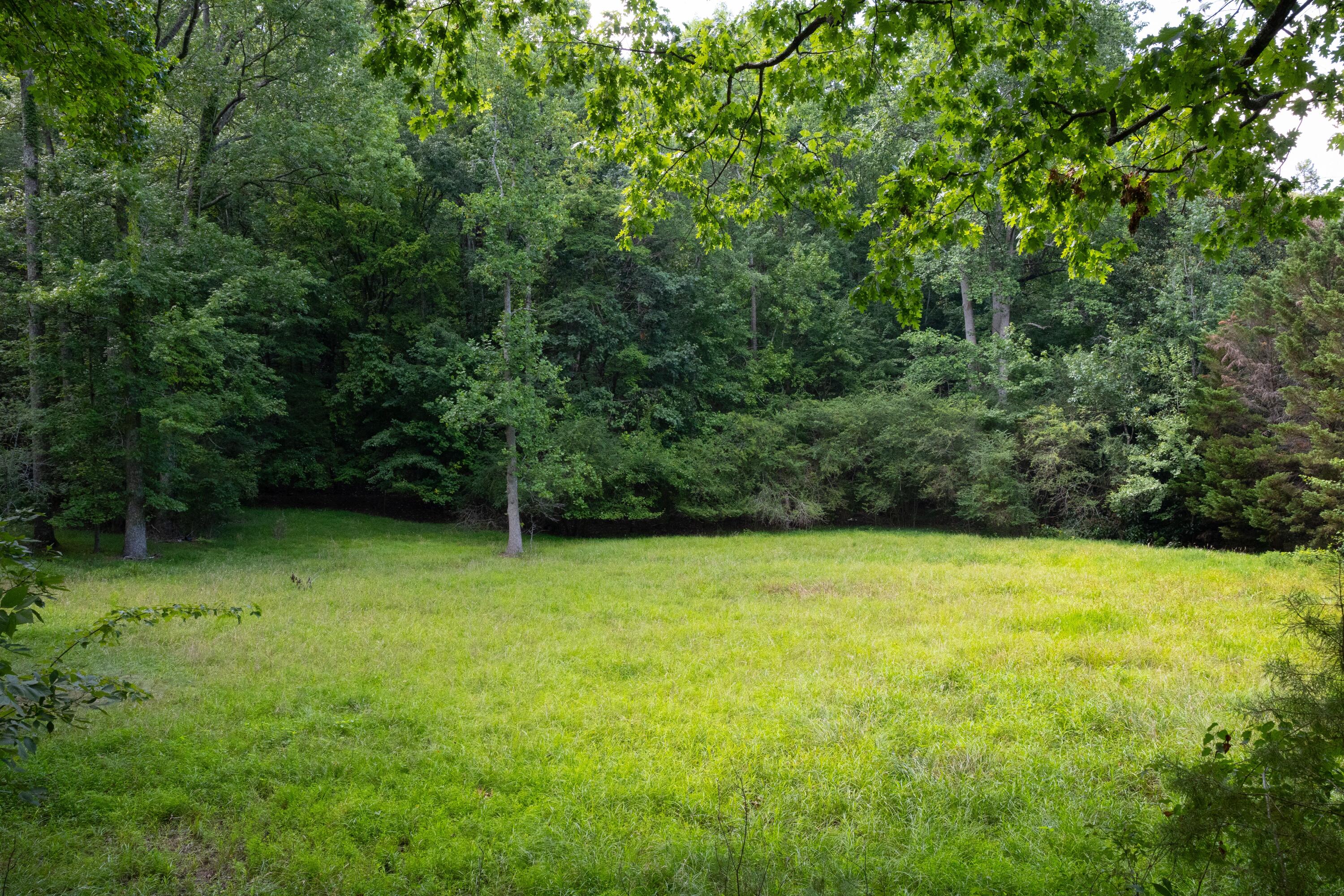 0 Standifer Gap Road Chattanooga, TN 37421 - Photo 7 of 26 CollegedaleProperty-008