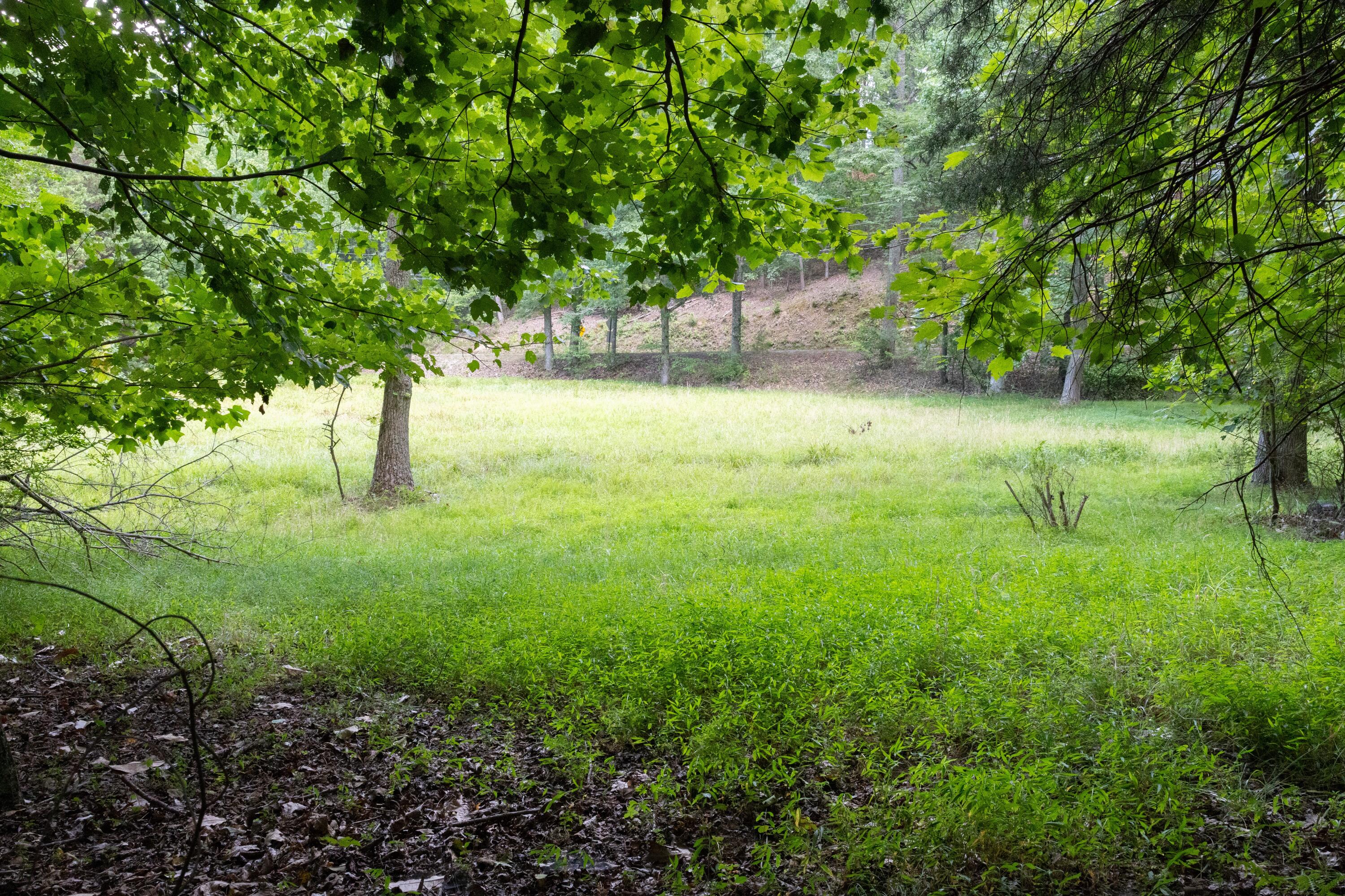 0 Standifer Gap Road Chattanooga, TN 37421 - Photo 8 of 26 CollegedaleProperty-010