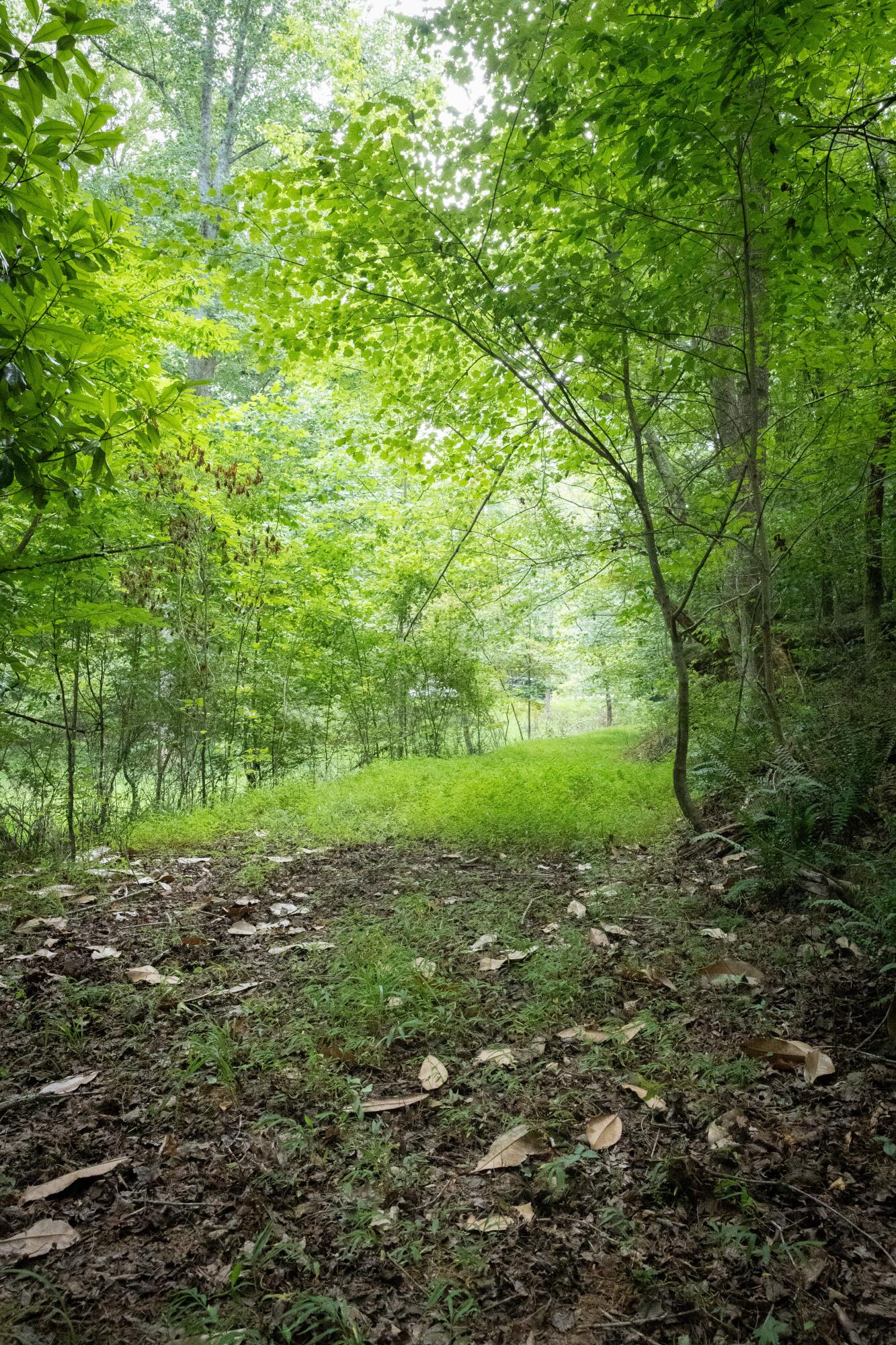 0 Standifer Gap Road Chattanooga, TN 37421 - Photo 9 of 26 CollegedaleProperty-011