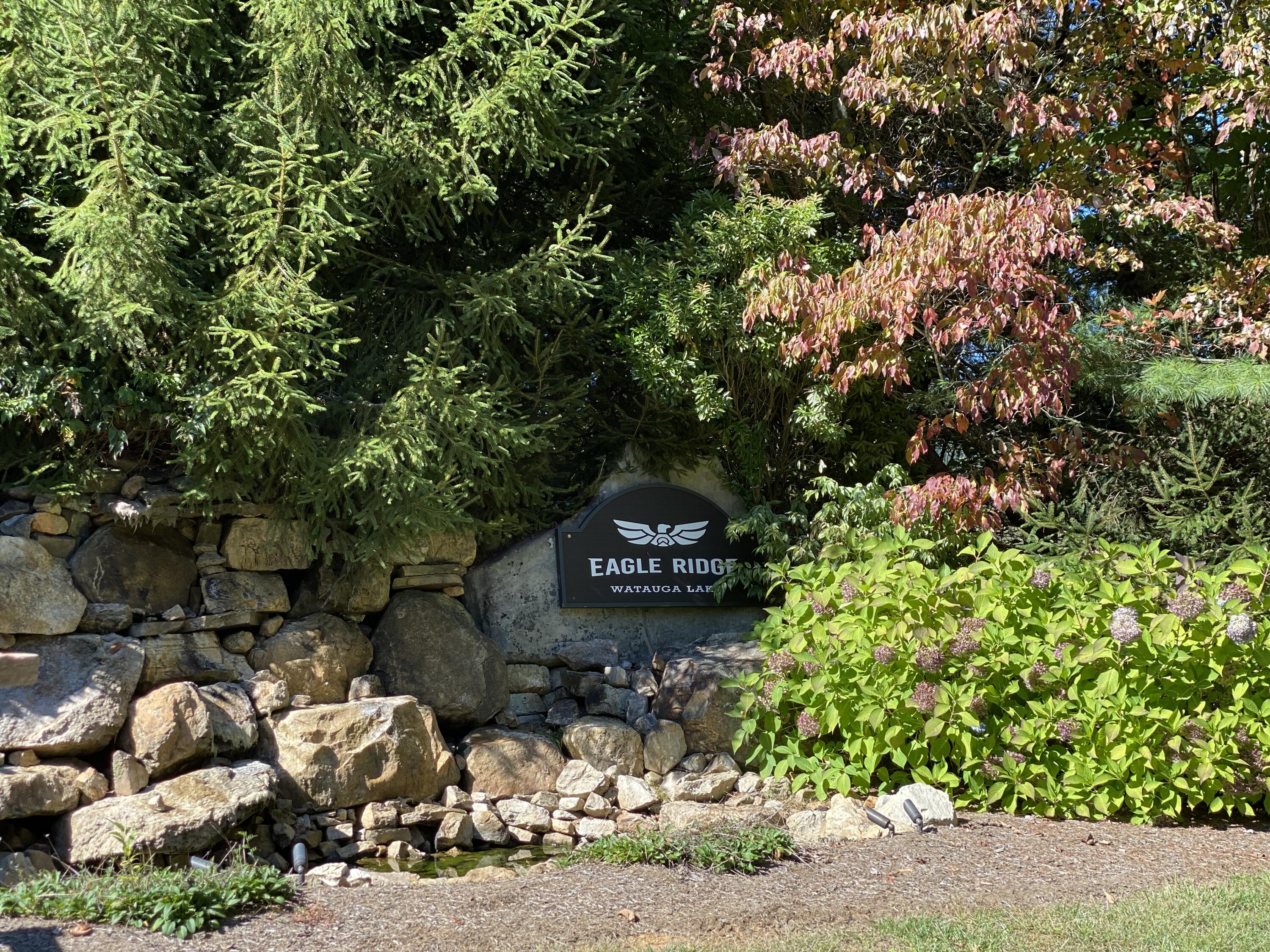 Lot 23 West Of Dry Hill Road, Unit 23 Butler, TN 37640 - Photo 18 of 35 8CCD4443-07E9-4431-96D6-955D4C209107