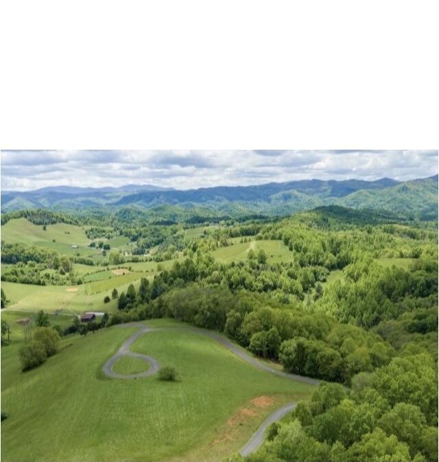 Lot 23 West Of Dry Hill Road, Unit 23 Butler, TN 37640 - Photo 33 of 35 WDRYHILL21