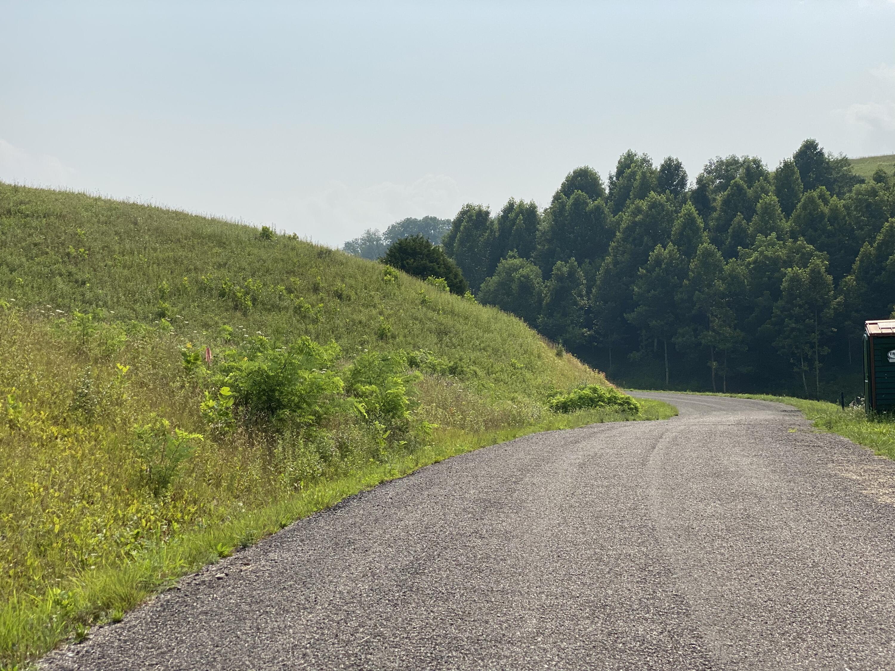 Lot 23 West Of Dry Hill Road, Unit 23 Butler, TN 37640 - Photo 7 of 35 DD5AFC60-4592-4EBD-BD1A-41C31CC9CFE0