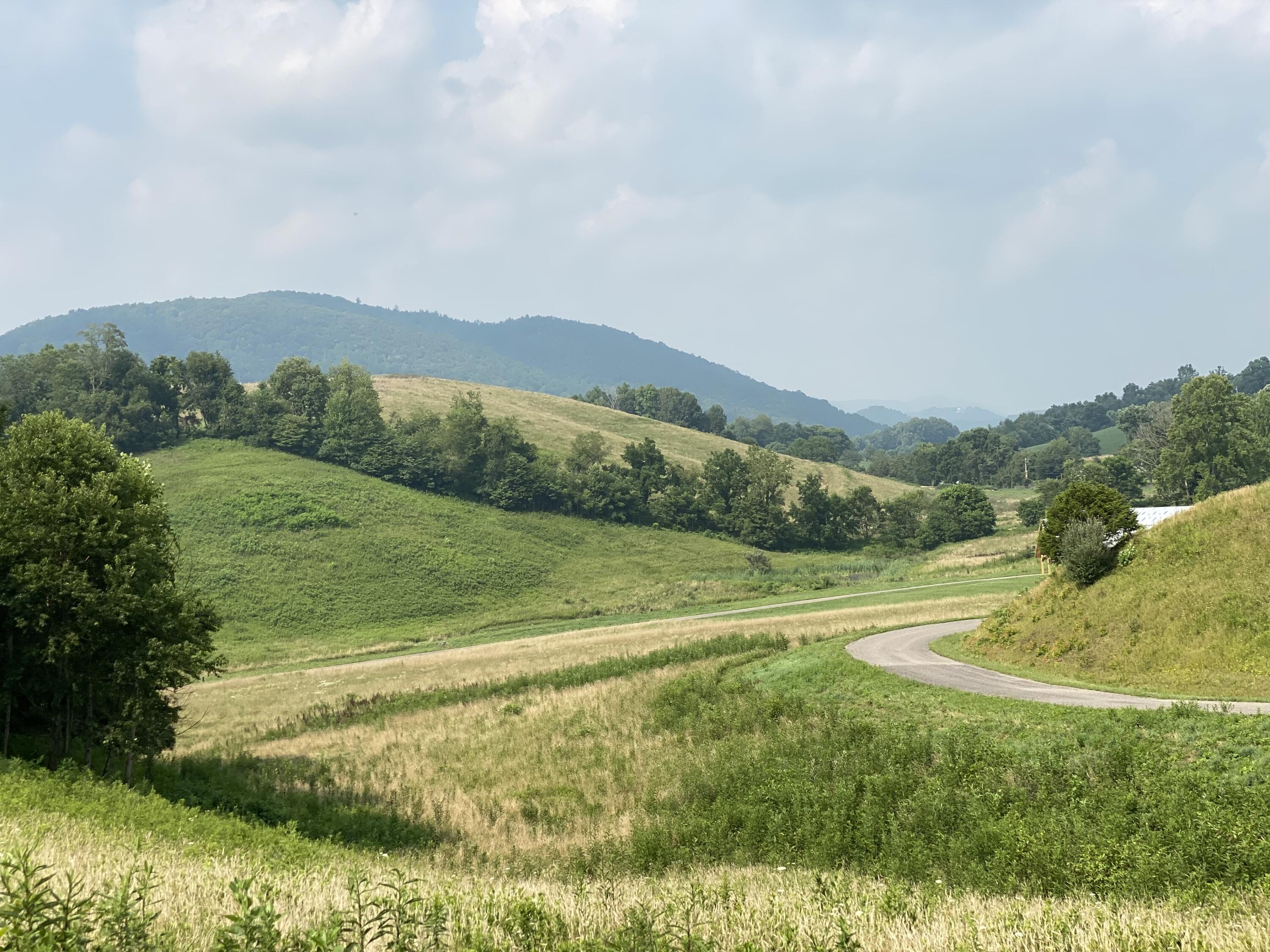 Lot 23 West Of Dry Hill Road, Unit 23 Butler, TN 37640 - Photo 9 of 35 36E2D53B-BB8C-438B-9501-4866655F7937