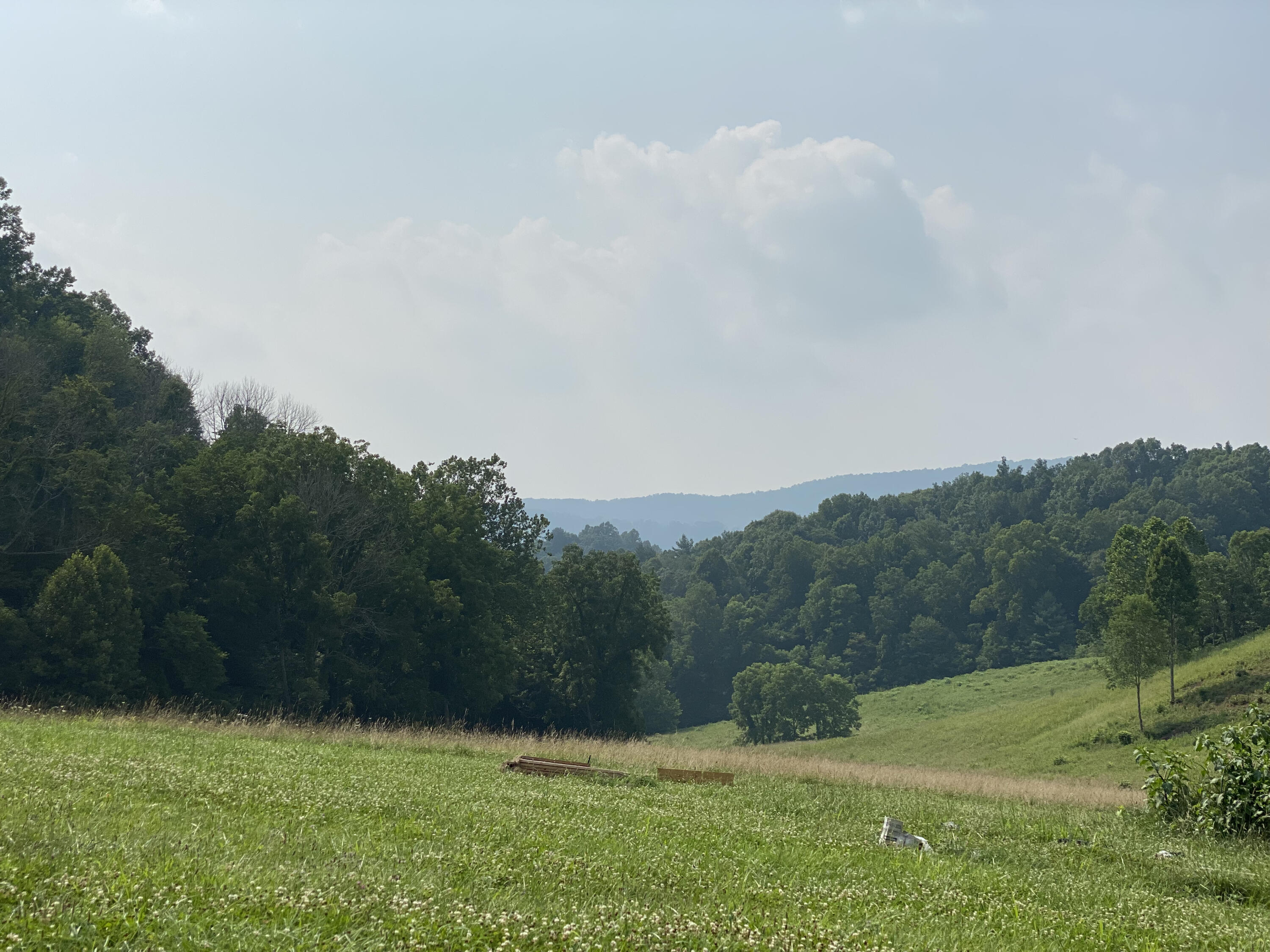 Lot 23 West Of Dry Hill Road, Unit 23 Butler, TN 37640 - Photo 10 of 35 155A117C-89D1-40A2-BD89-7967453A4BBE