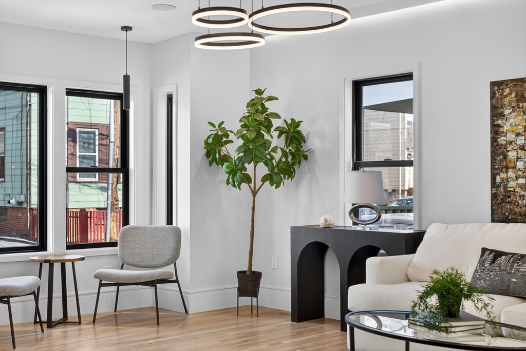 29 Line Street Cambridge, MA 02138 - Photo 18 of 42 a living room with furniture and a potted plant