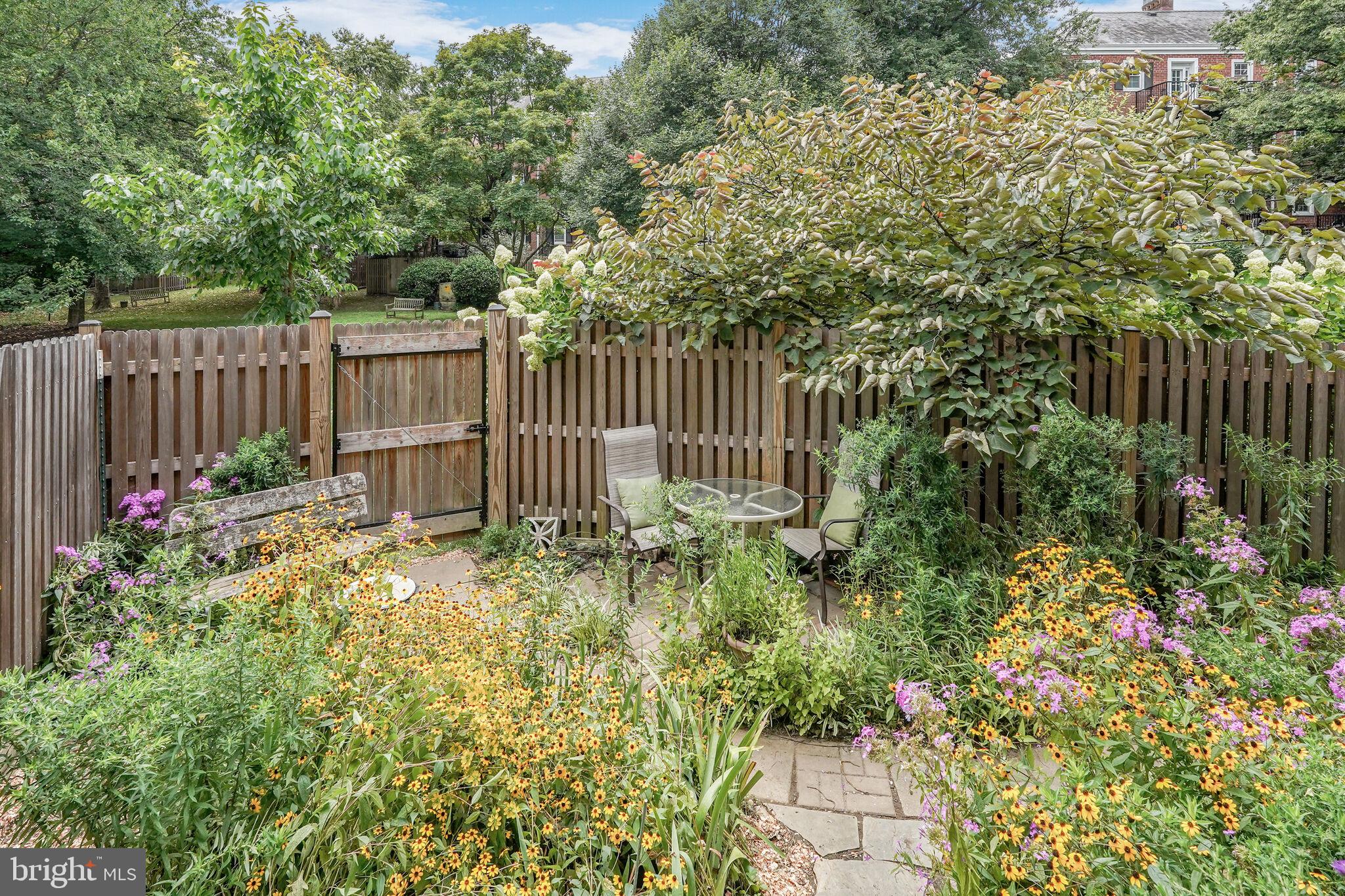3050 South Buchanan Street, Unit A2 Arlington, VA 22206 - Photo 13 of 32 Beautiful garden fenced courtyard