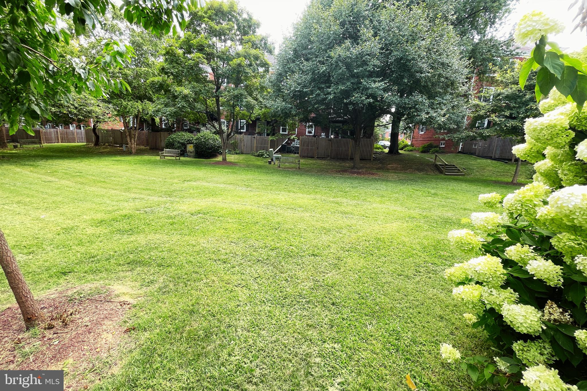 3050 South Buchanan Street, Unit A2 Arlington, VA 22206 - Photo 22 of 32 Common area