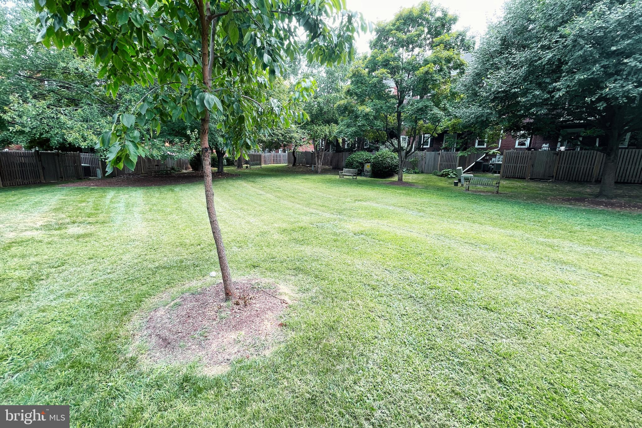 3050 South Buchanan Street, Unit A2 Arlington, VA 22206 - Photo 23 of 32 Common area