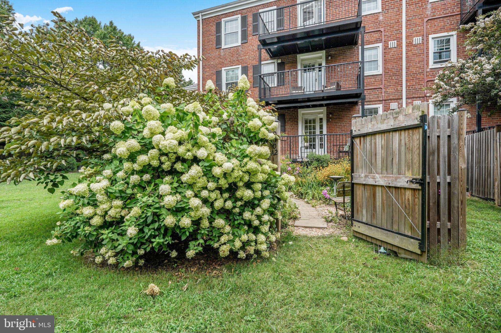 3050 South Buchanan Street, Unit A2 Arlington, VA 22206 - Photo 24 of 32 Back gate to courtyard.