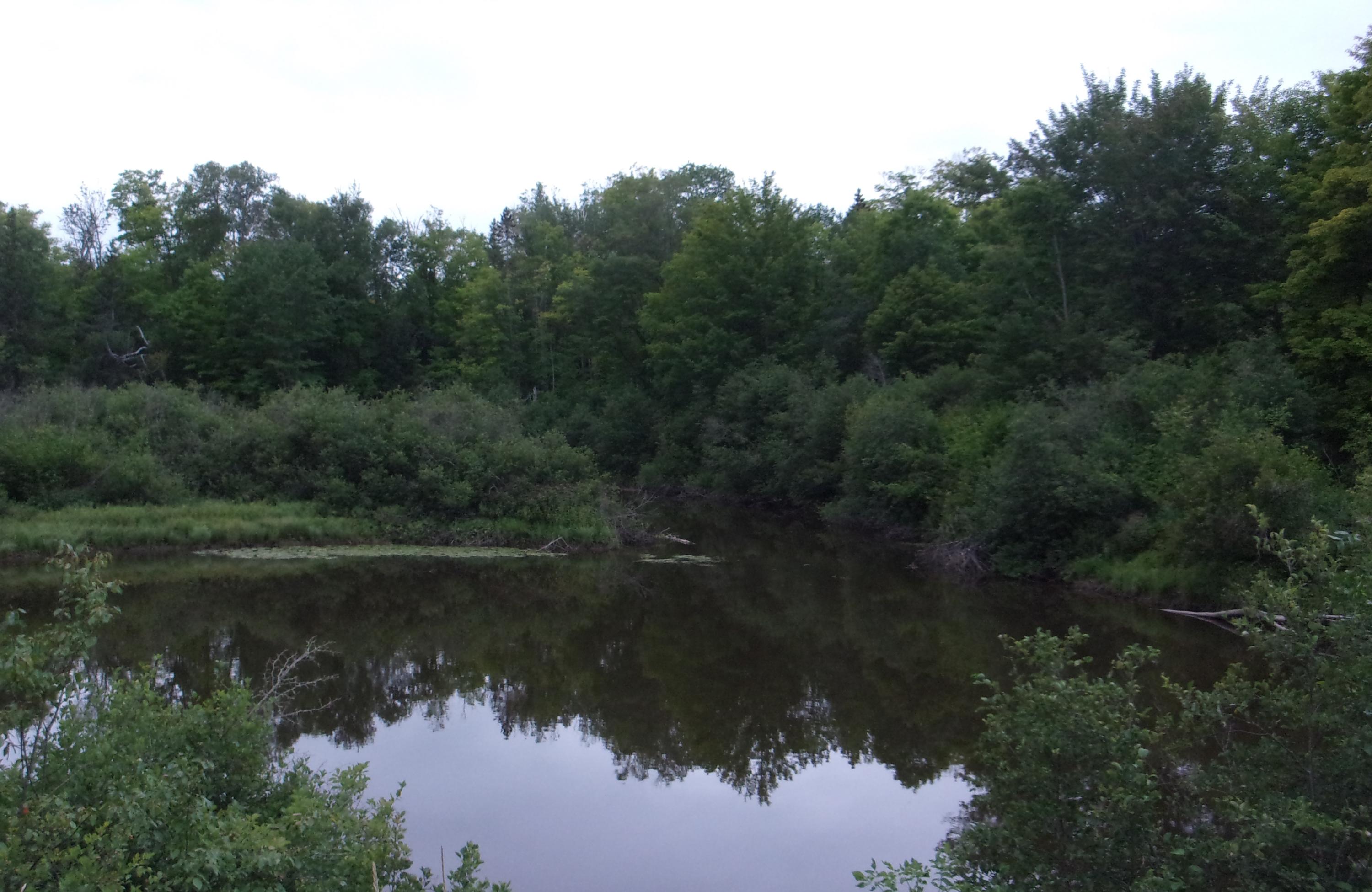 6052 South Hulbert Road Hulbert, MI 49748 - Photo 11 of 11 Gallery Image 11