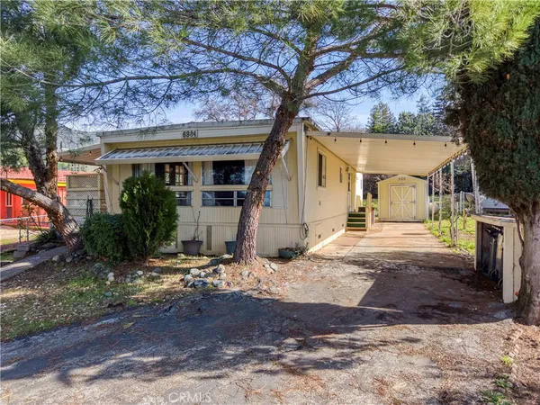 a view of a white house with large tree and wooden fence