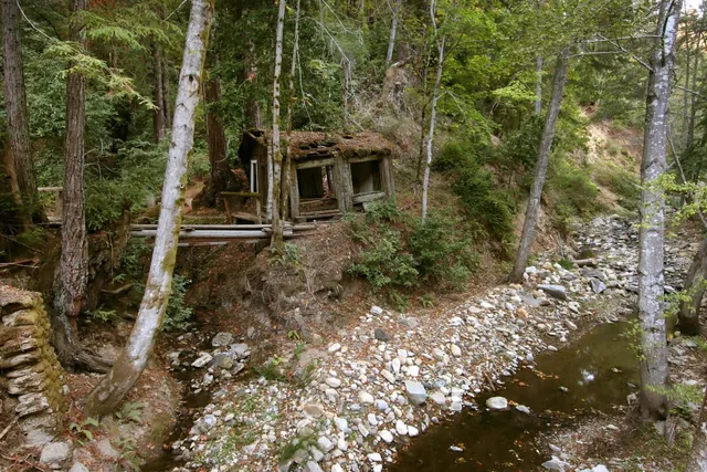 a living room with furniture and a book shelf
