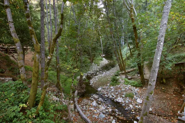 a stove top oven sitting inside of a kitchen