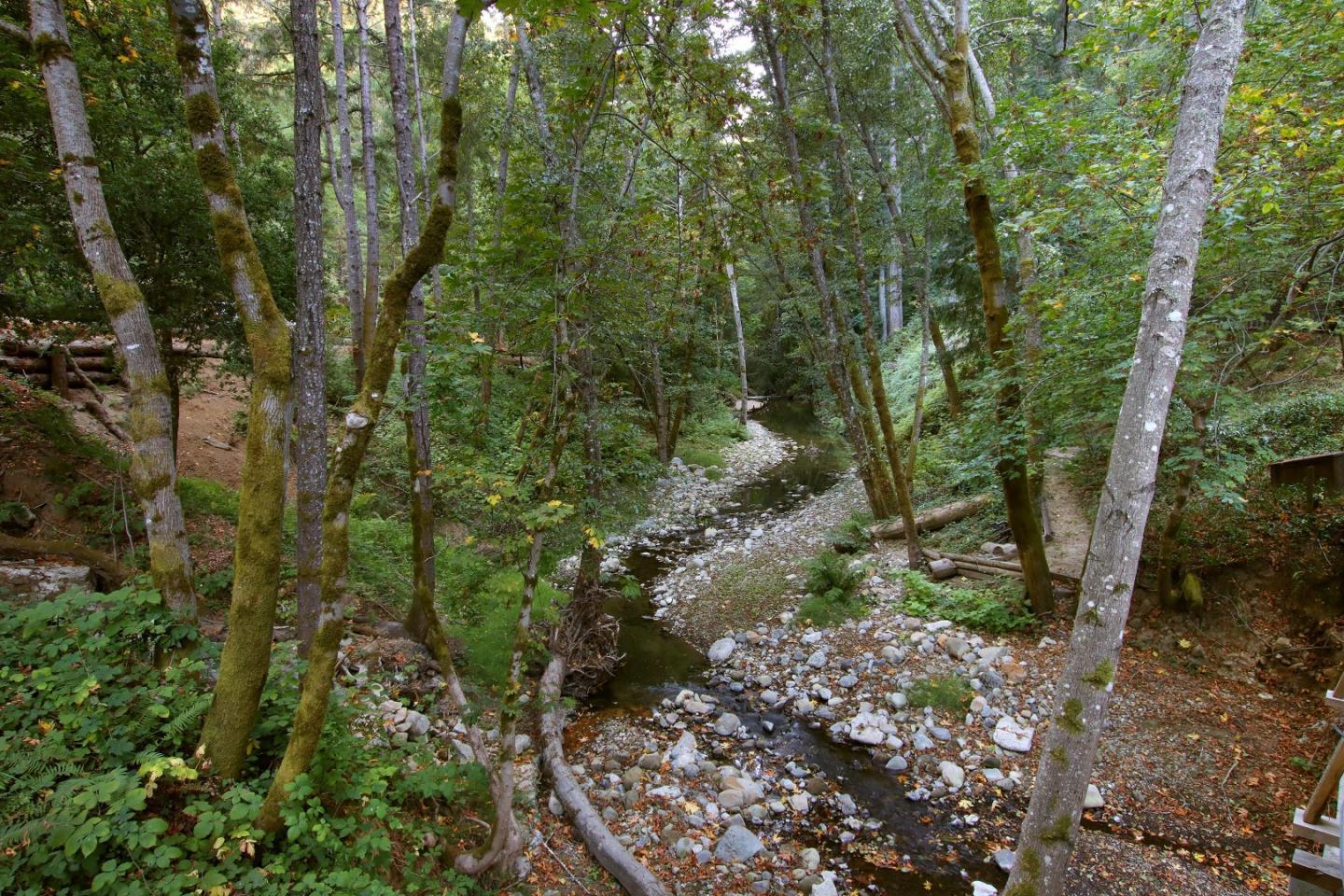 16770 Redwood Lodge Road Los Gatos, CA 95033 - Photo 43 of 122 a view of a forest filled with trees