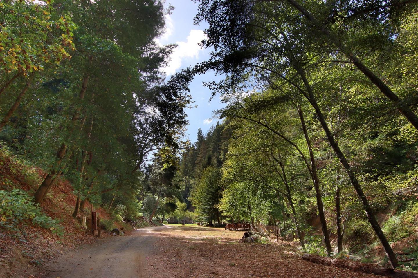 16770 Redwood Lodge Road Los Gatos, CA 95033 - Photo 45 of 122 a view of a forest with a tree