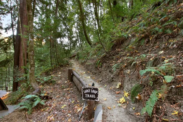 $5,330,000 | 16770 Redwood Lodge Road, Los Gatos, CA 95033