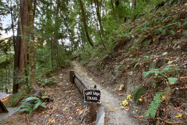 $5,330,000 | 16770 Redwood Lodge Road, Los Gatos, CA 95033