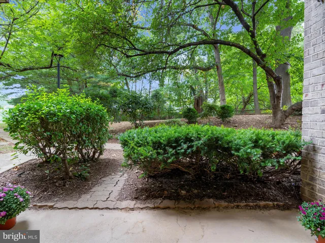 a view of a house with backyard and trees