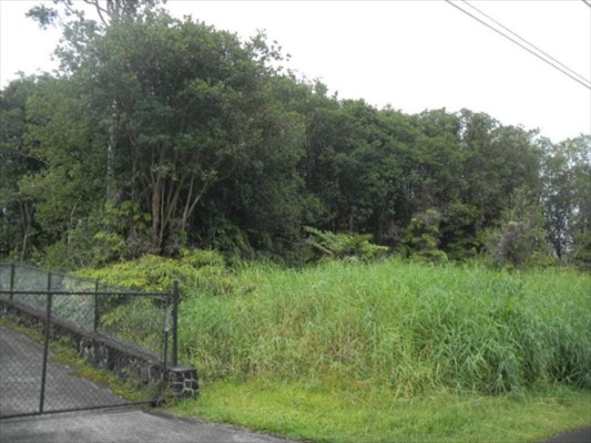 Kaniela Rd Mountain View Mountain View, HI 96771 - Photo 6 of 9 a view of a lush green forest with lots of trees