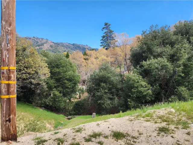 a view of a yard with a tree in the background