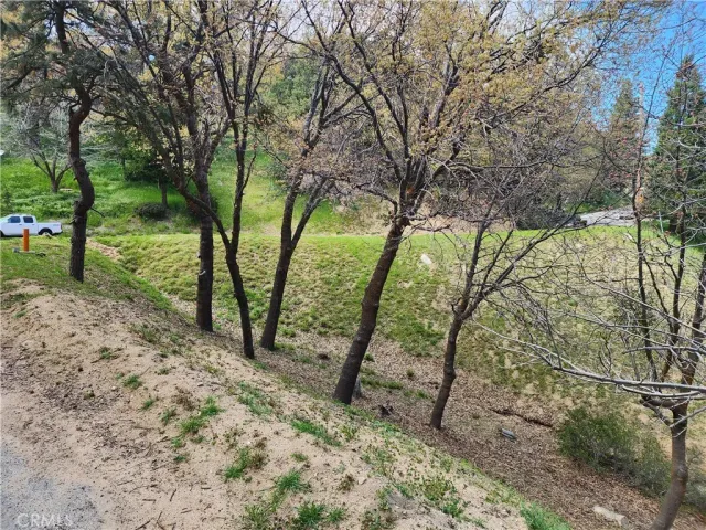 a view of outdoor space and trees