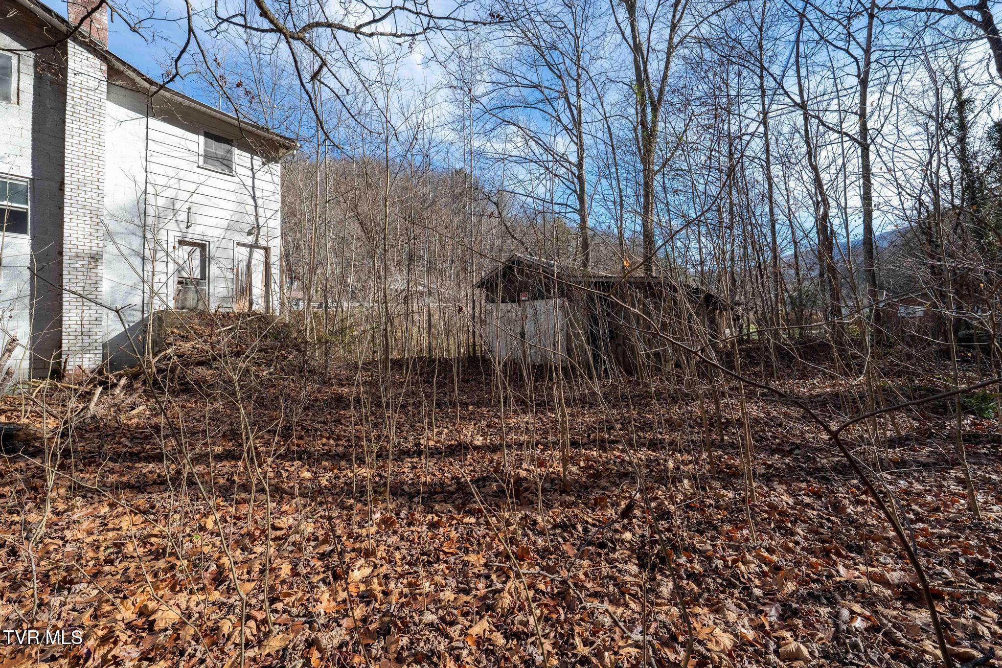 6194 Highway 19E Hampton, TN 37658 - Photo 13 of 37 TBD Highway 19 E (13 of 37)