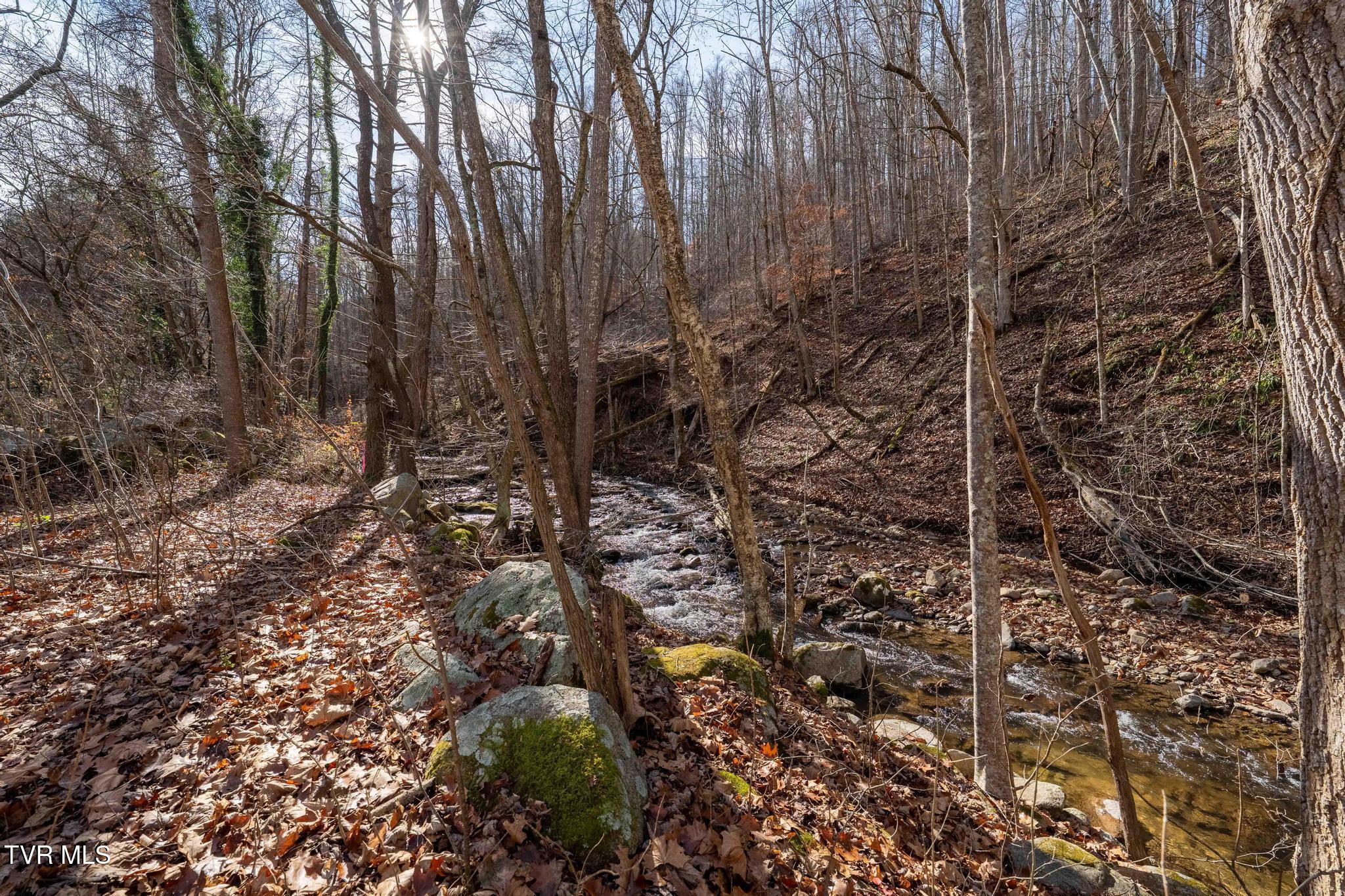 6194 Highway 19E Hampton, TN 37658 - Photo 14 of 37 TBD Highway 19 E (14 of 37)