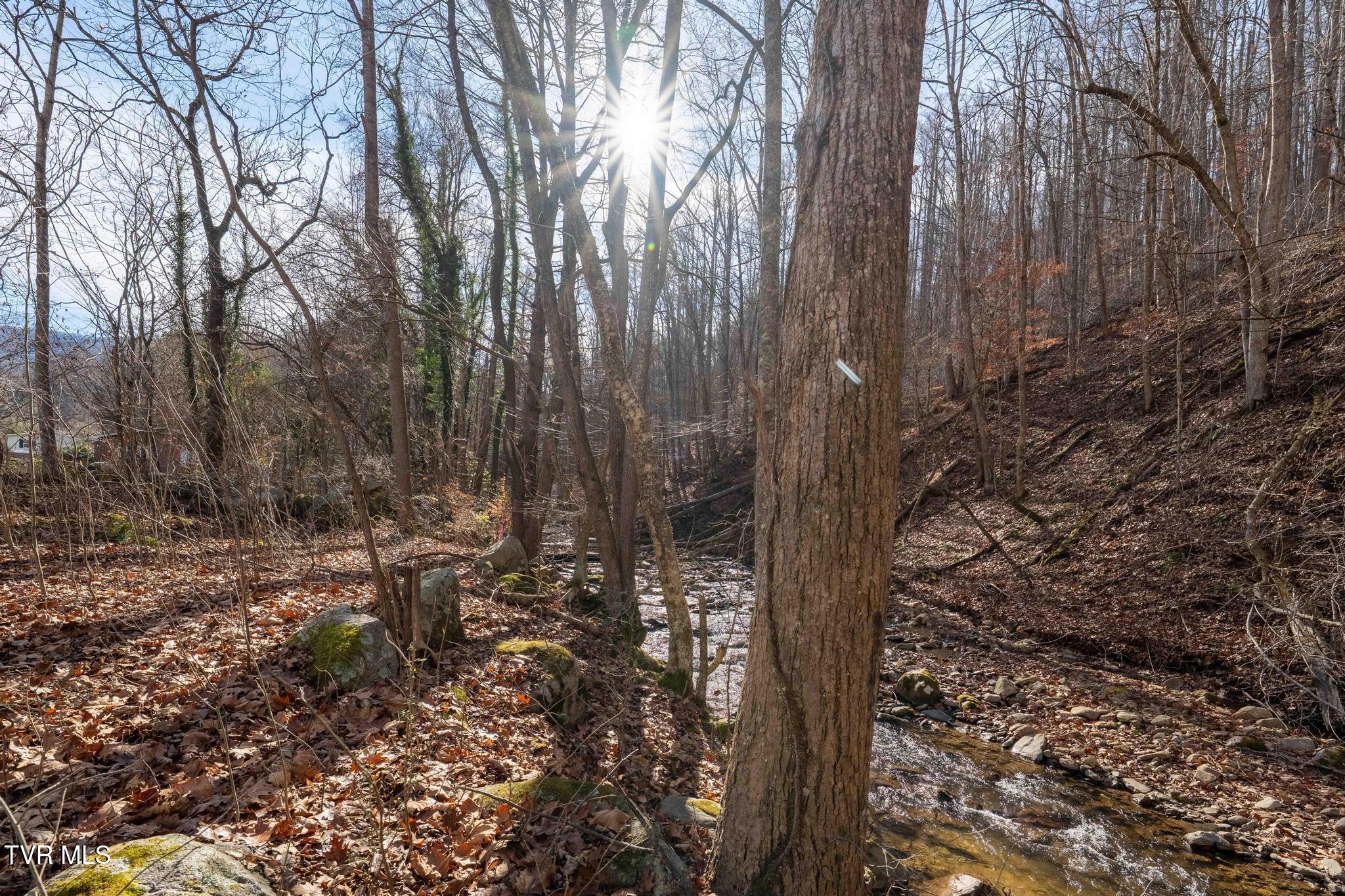 6194 Highway 19E Hampton, TN 37658 - Photo 15 of 37 TBD Highway 19 E (15 of 37)