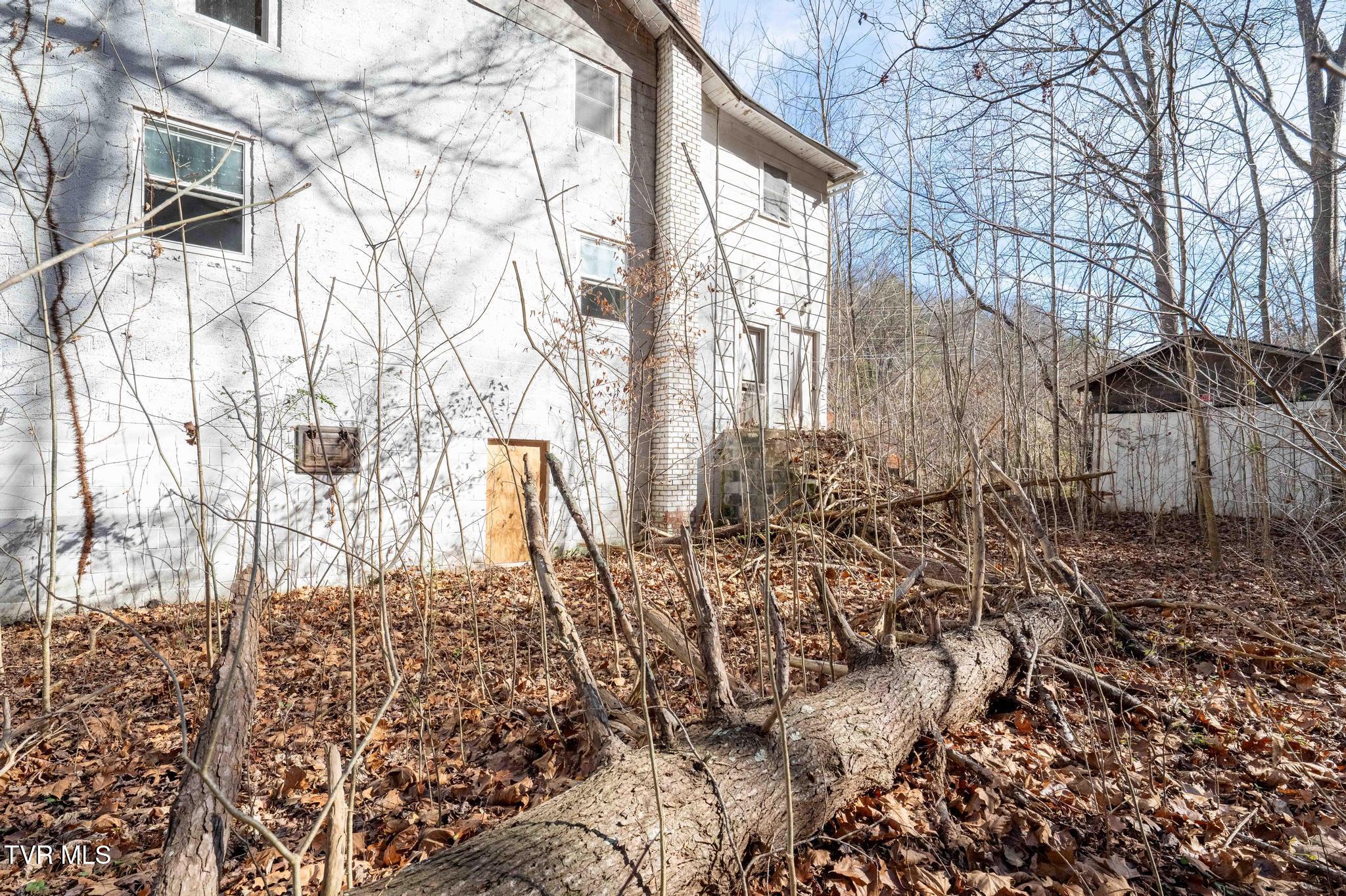 6194 Highway 19E Hampton, TN 37658 - Photo 17 of 37 TBD Highway 19 E (17 of 37)