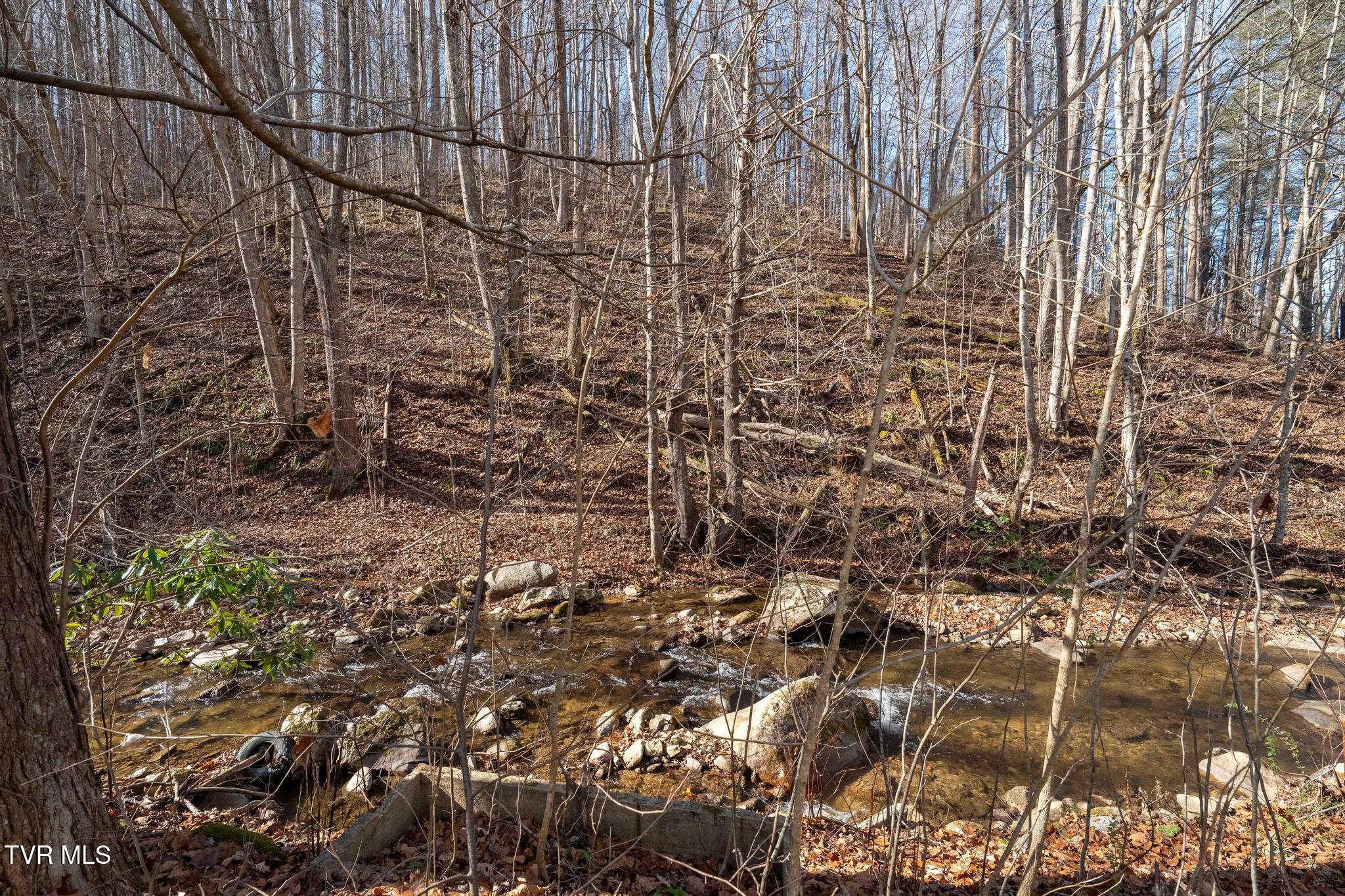 6194 Highway 19E Hampton, TN 37658 - Photo 18 of 37 TBD Highway 19 E (18 of 37)