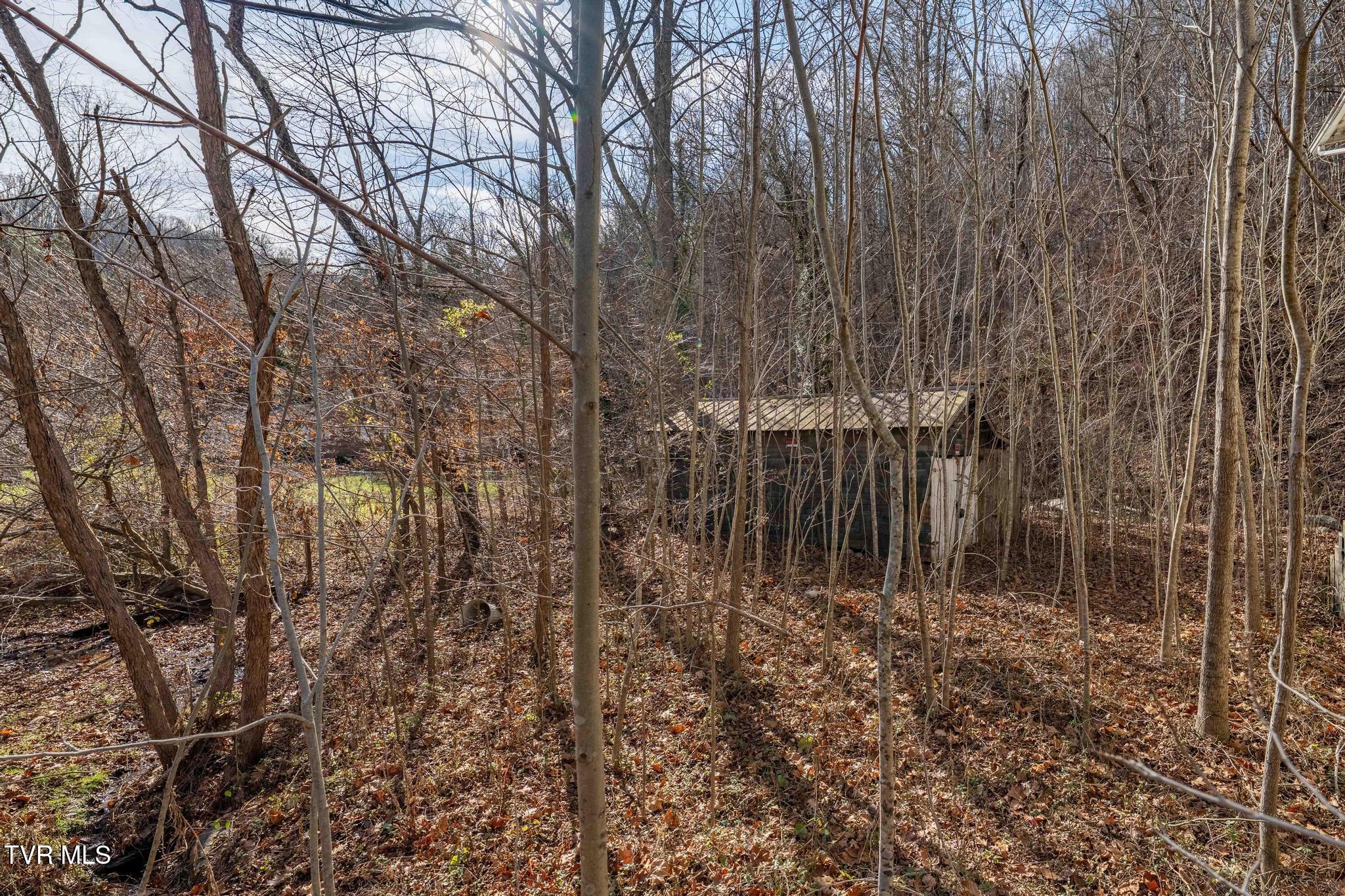 6194 Highway 19E Hampton, TN 37658 - Photo 8 of 37 TBD Highway 19 E (8 of 37)