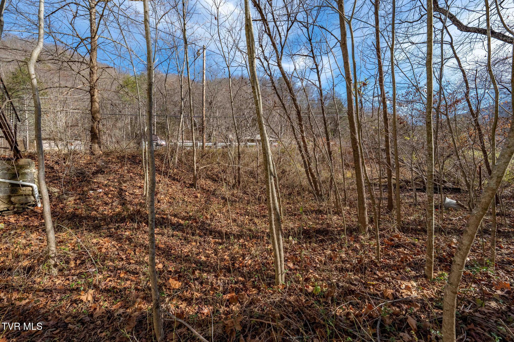 6194 Highway 19E Hampton, TN 37658 - Photo 9 of 37 TBD Highway 19 E (9 of 37)