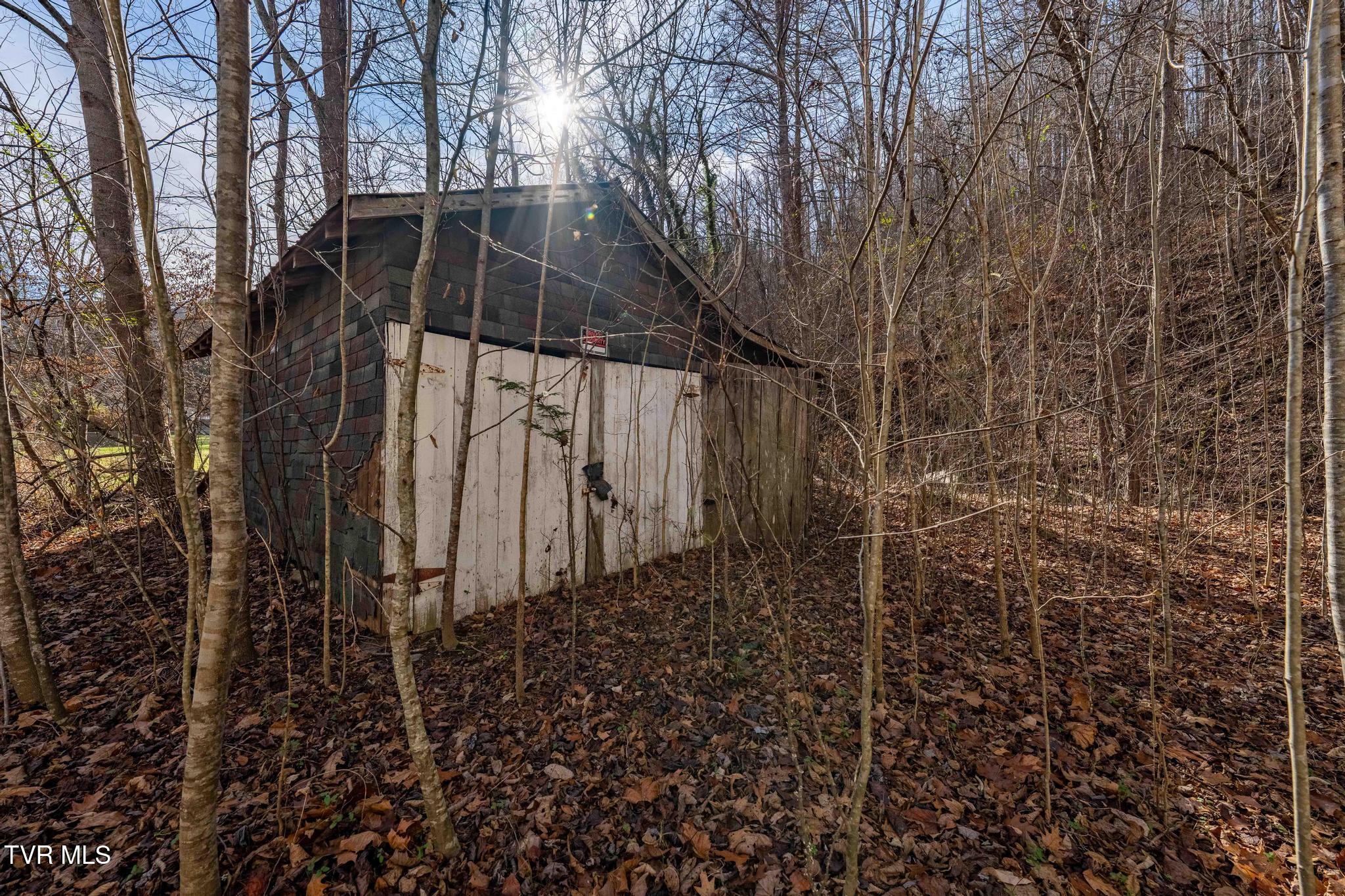 6194 Highway 19E Hampton, TN 37658 - Photo 10 of 37 TBD Highway 19 E (10 of 37)