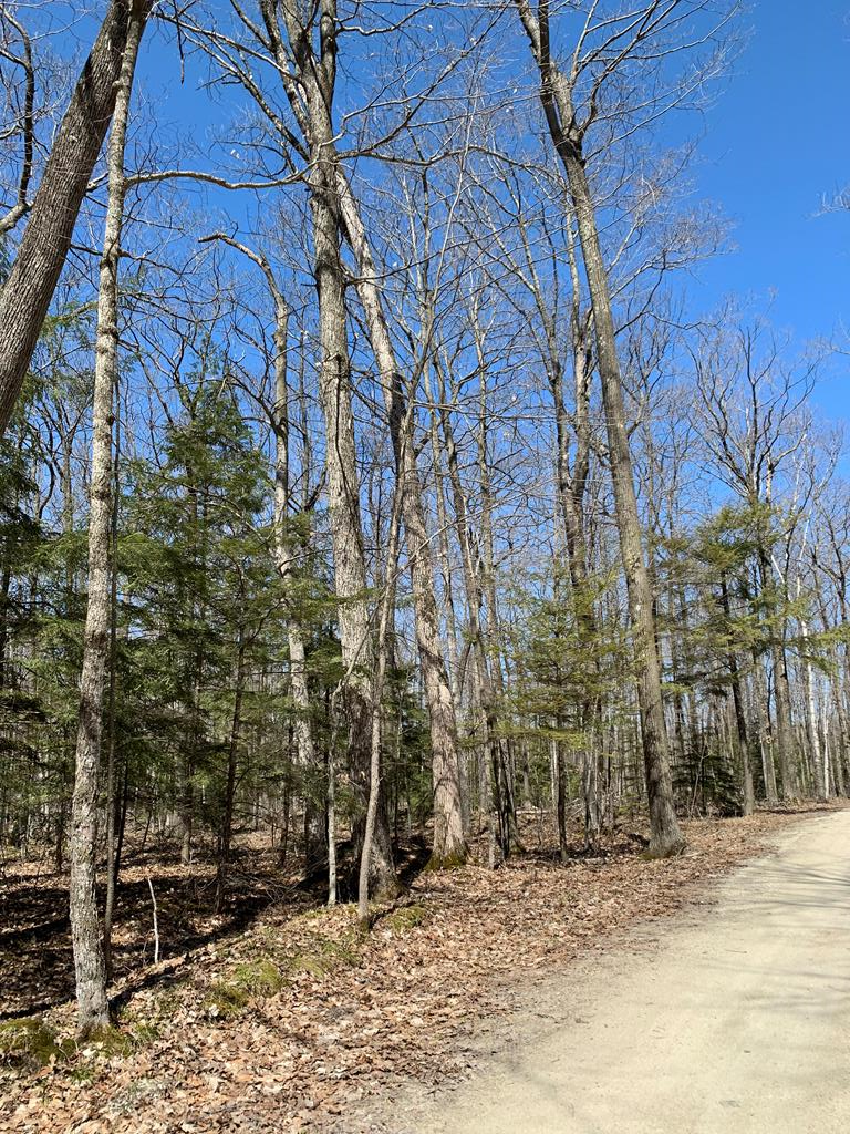 Lot 1 Birch Lane Reedsville, WI 54230 - Photo 2 of 3
