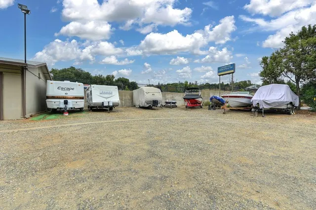 a flag is sitting in middle of forest