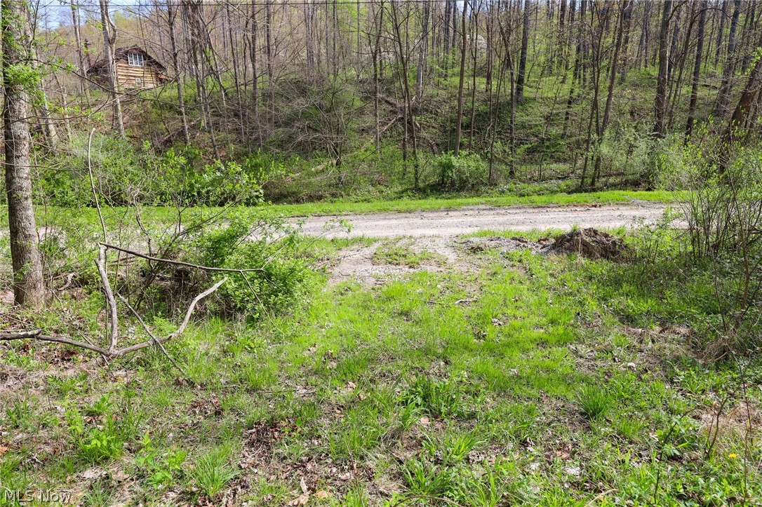 Jacks Run Road Quaker City, OH 43773 - Photo 22 of 50 Gallery Image 22